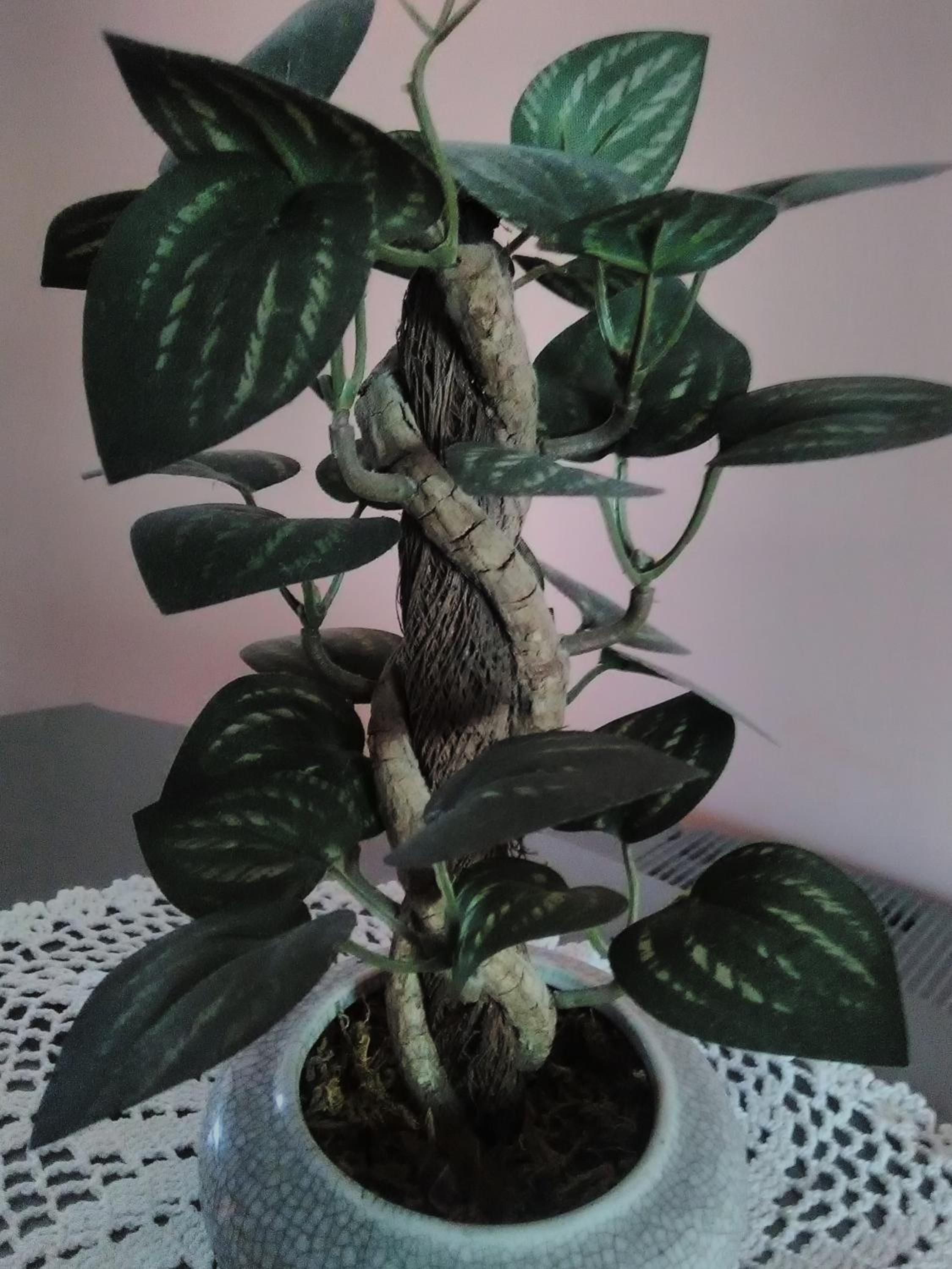 Photo 28