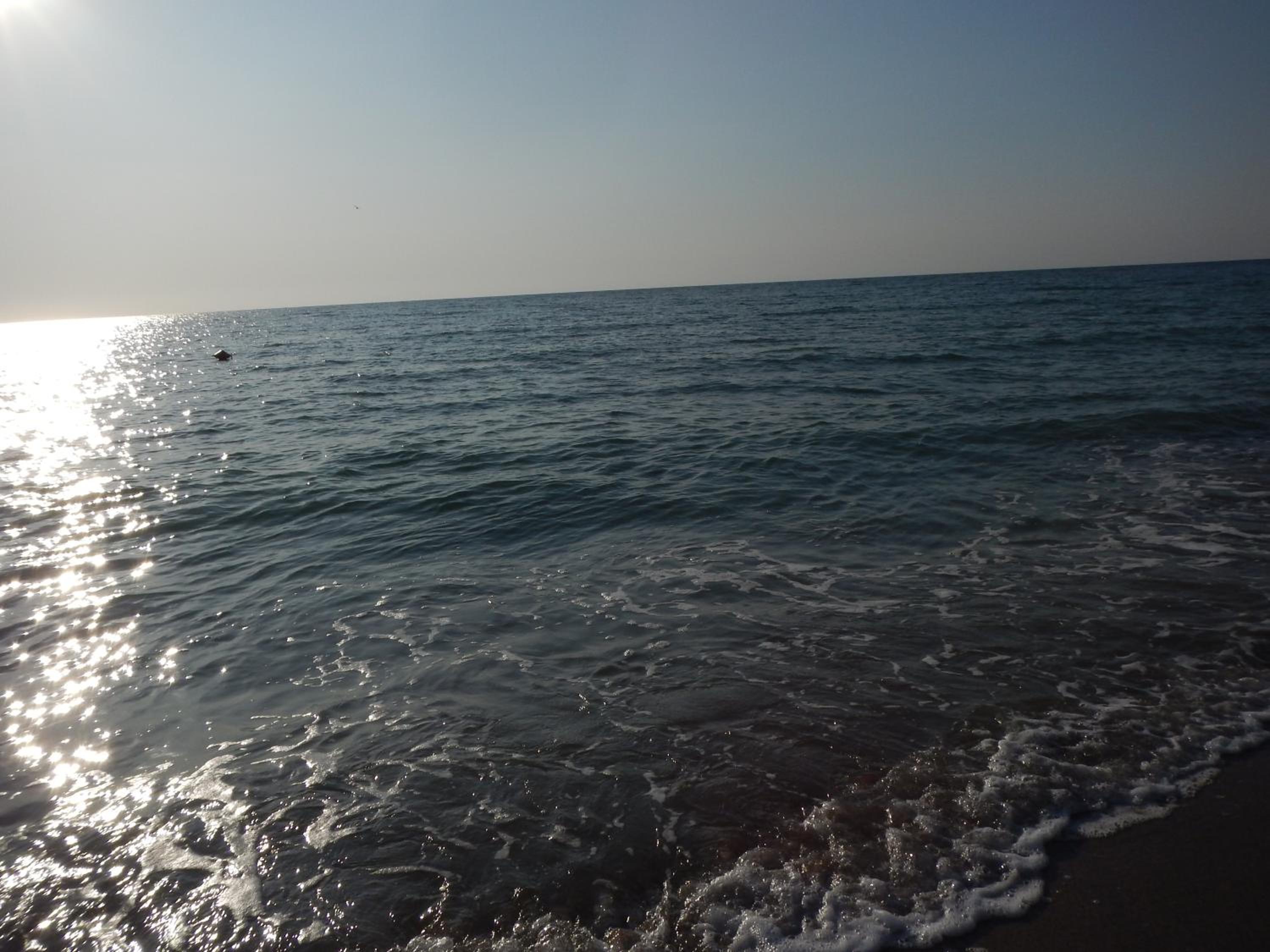 Photo 37