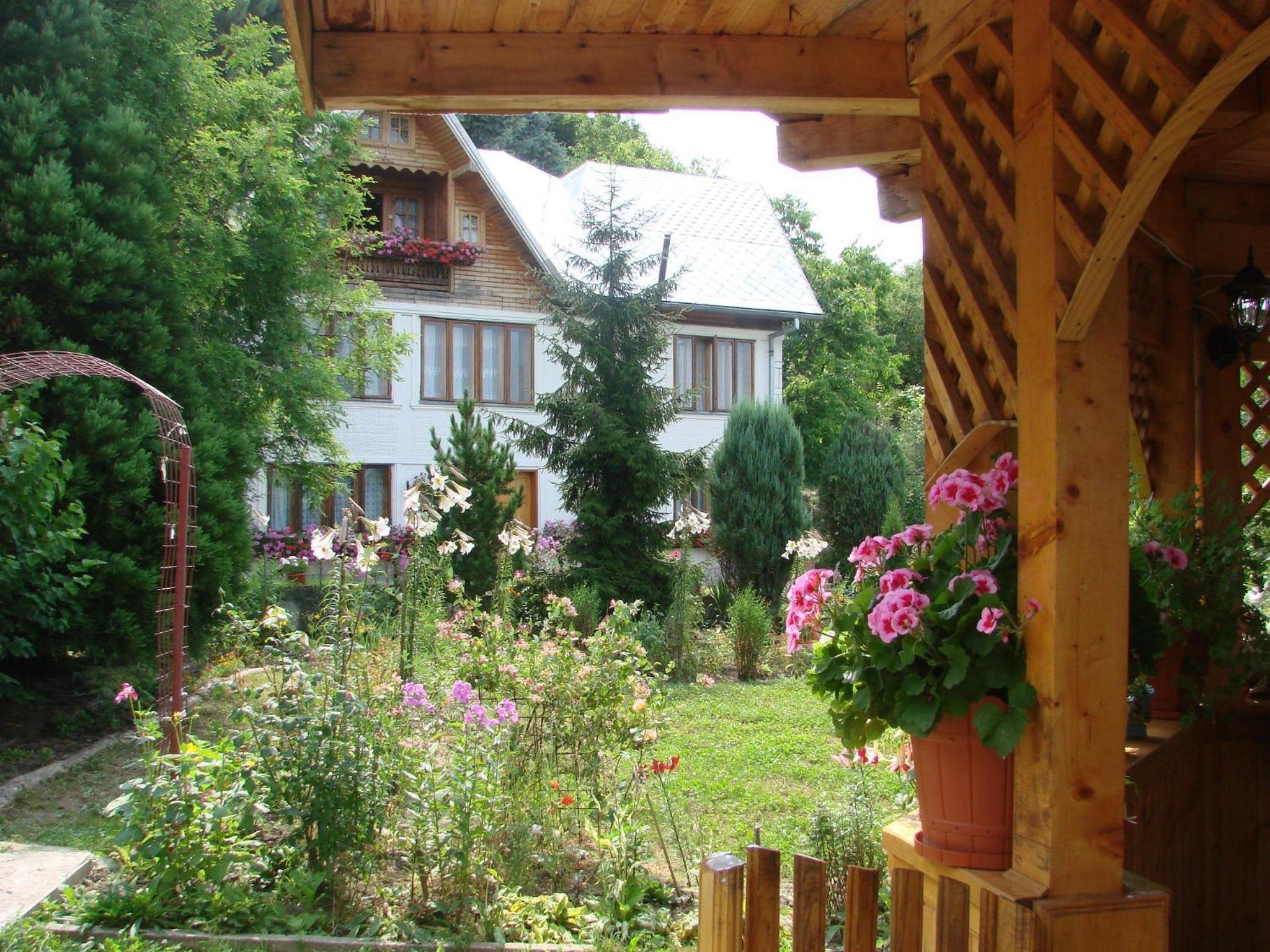 Photo 40