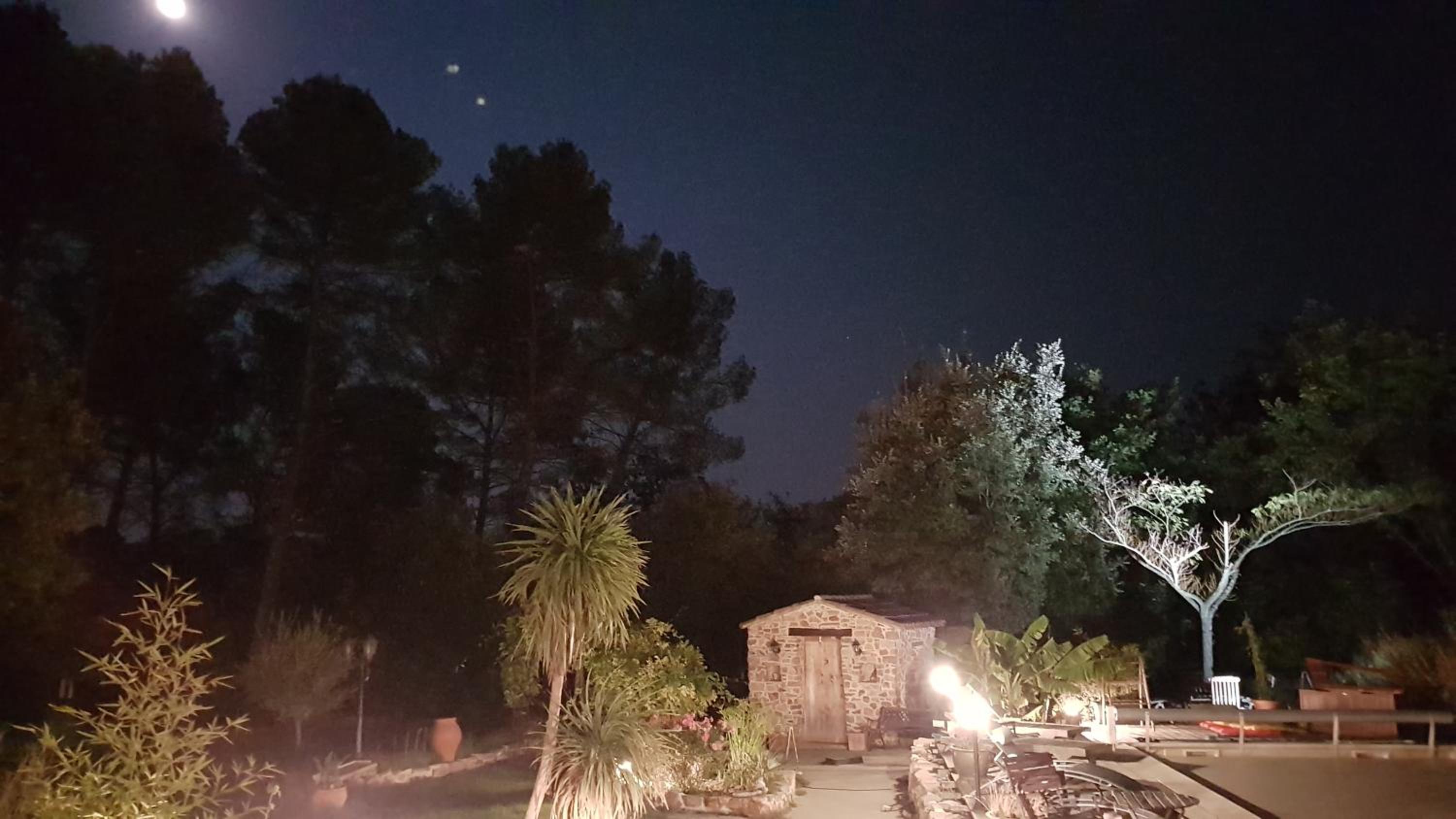 Le Jardin des Selves