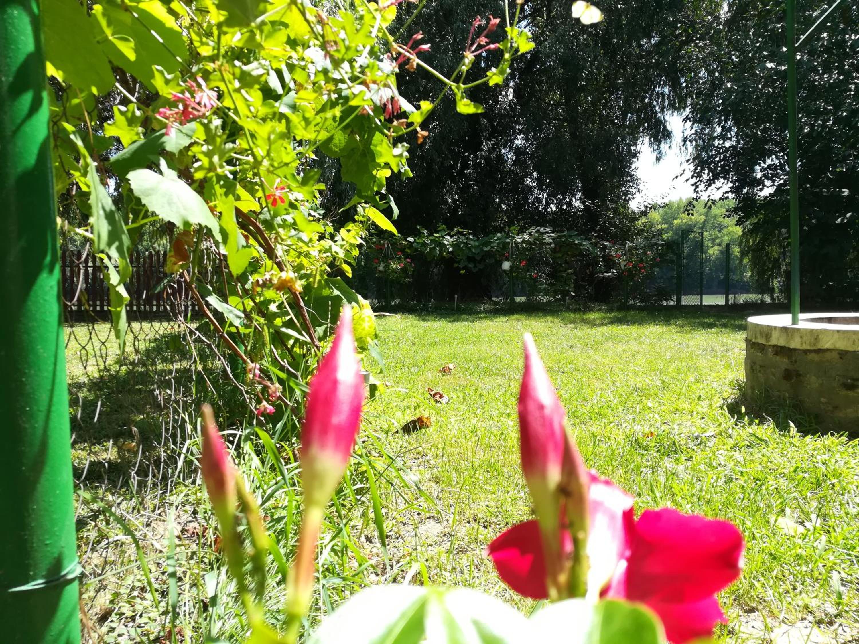 Photo 32