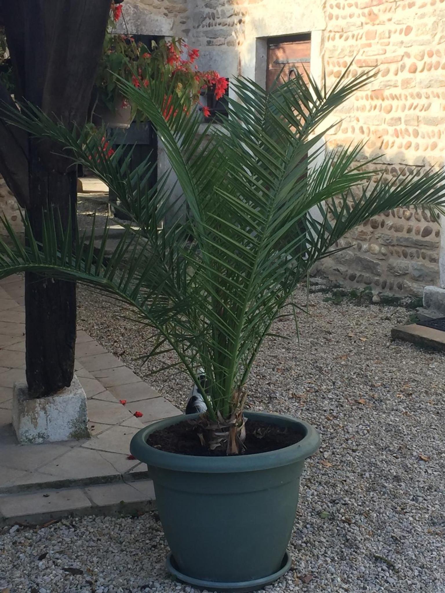 Photo 21