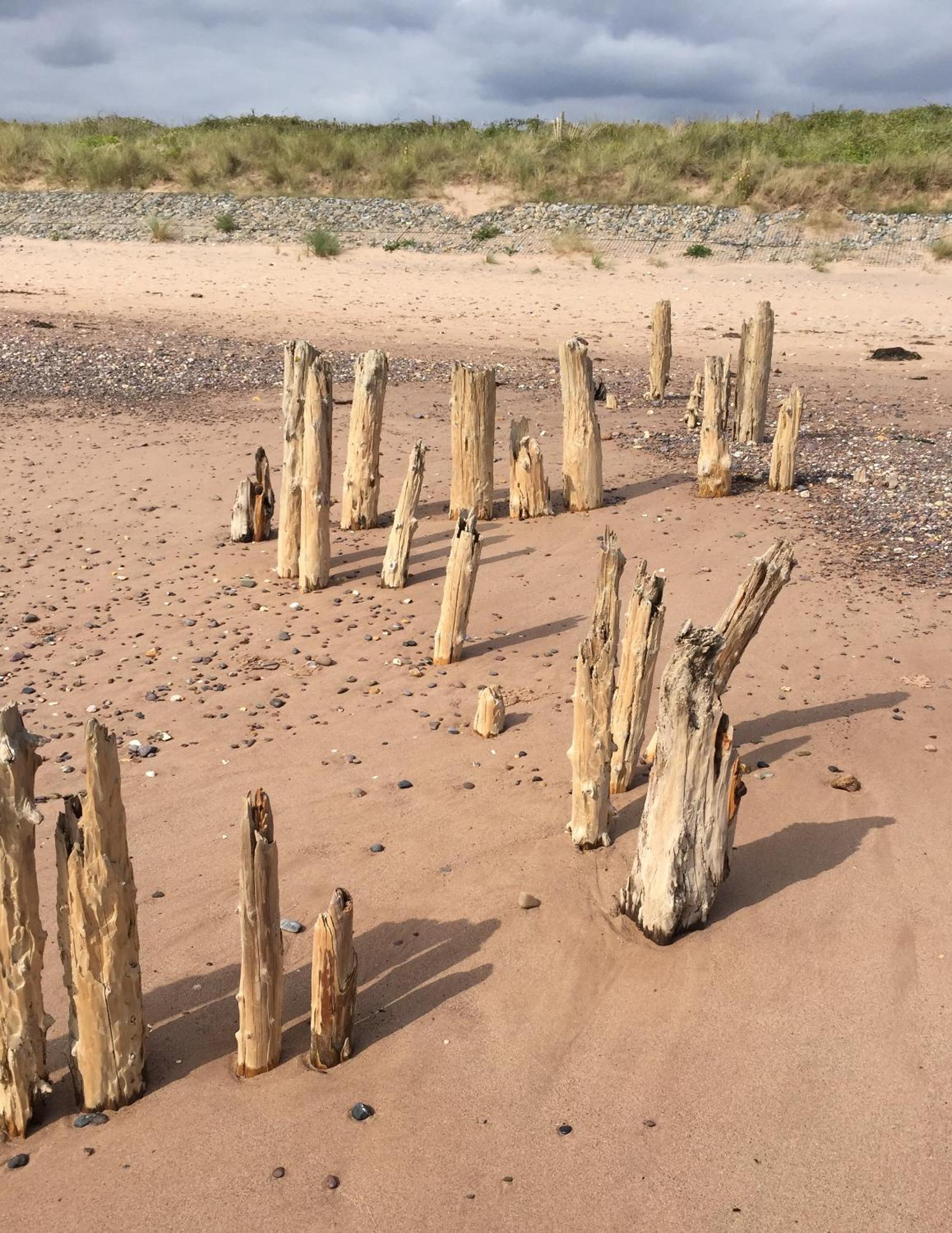 Blue Water Breaks - Dawlish Warren