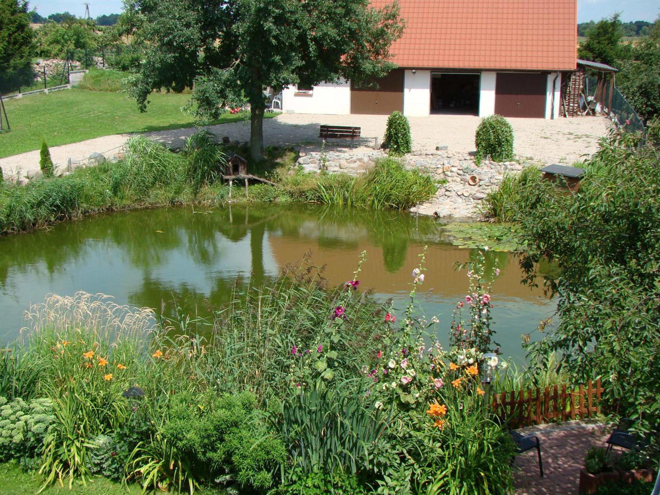 Photo 22