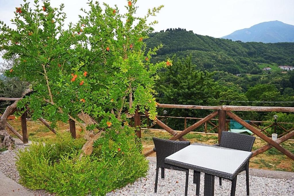 B&B Fior Tramonti