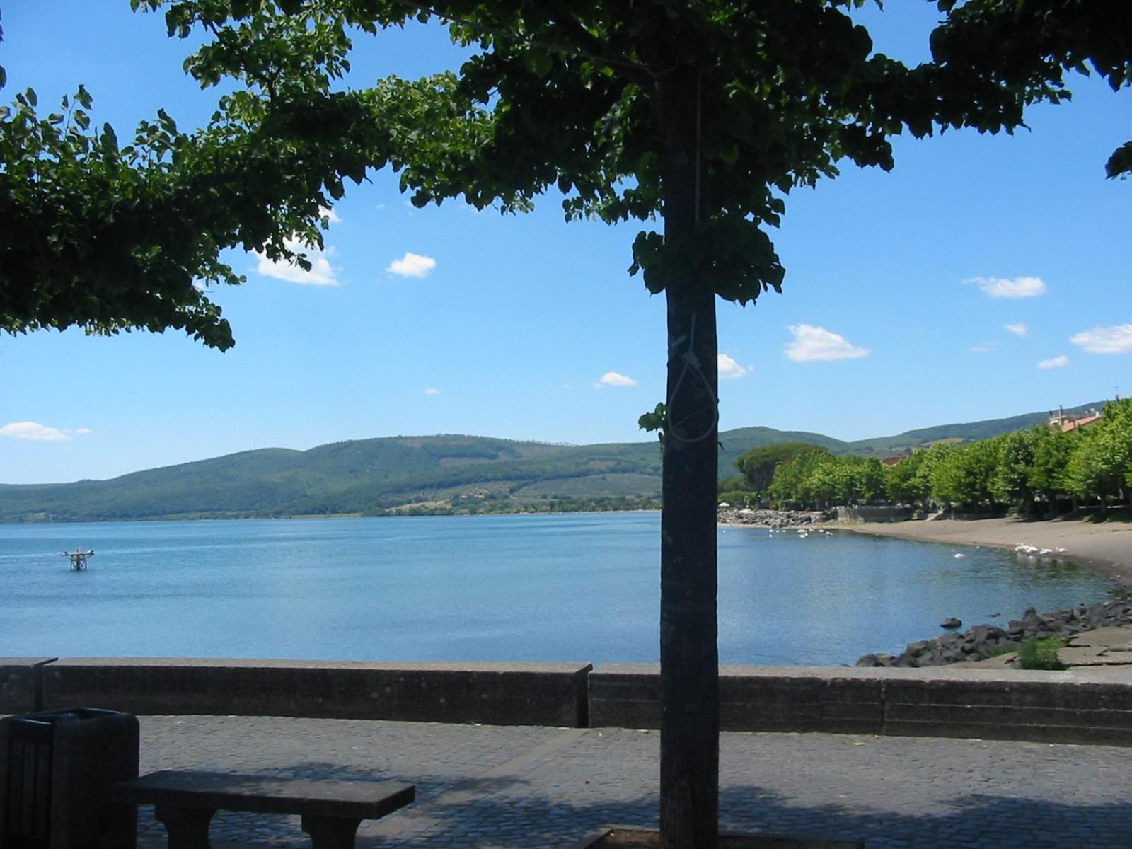 La rosa sul lago photo 5