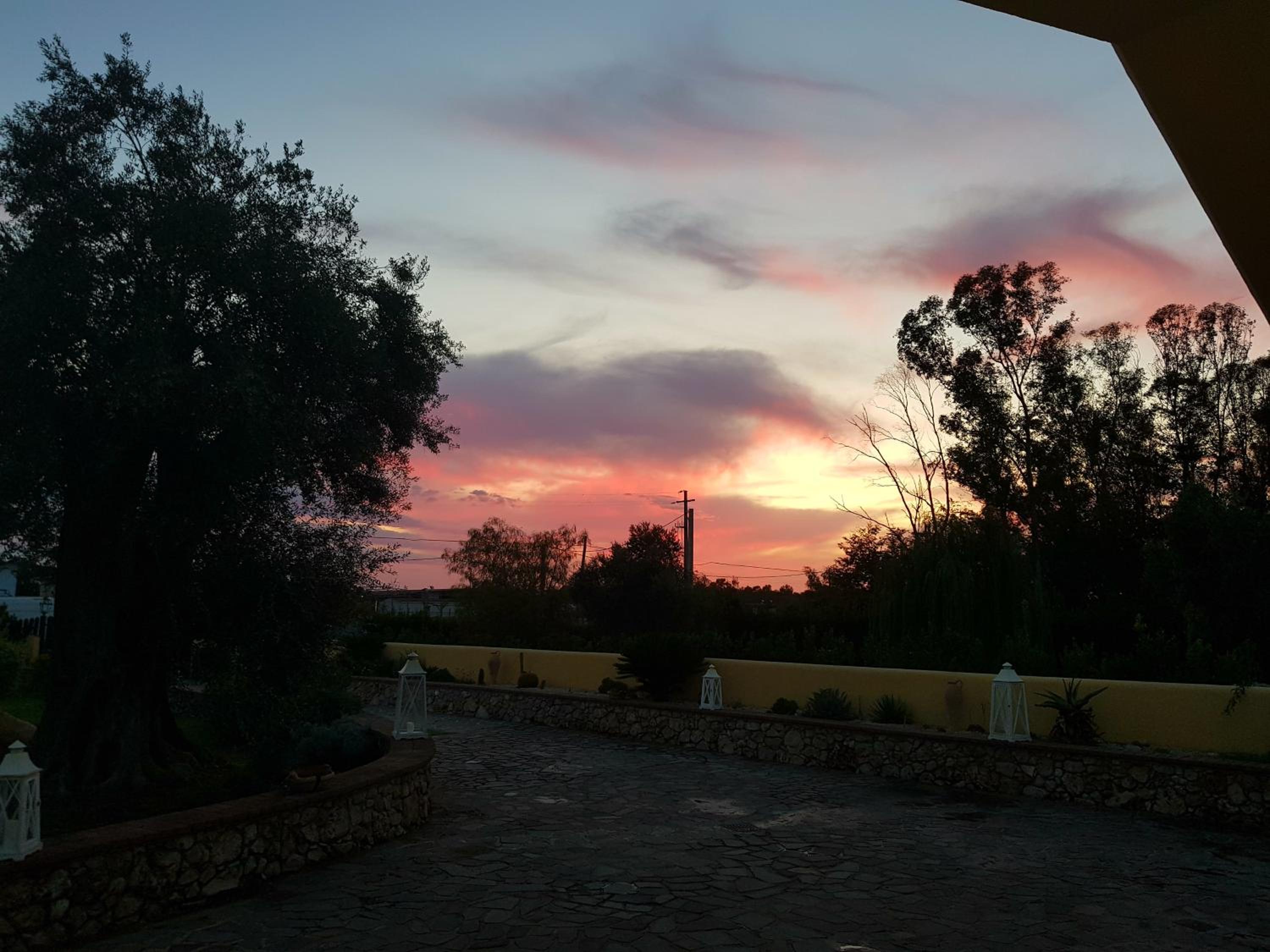 Crisam view 2