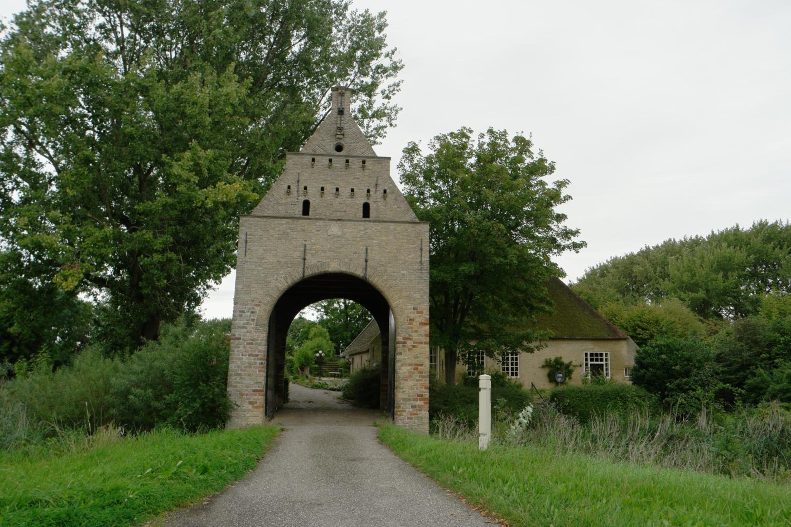 Photo 24