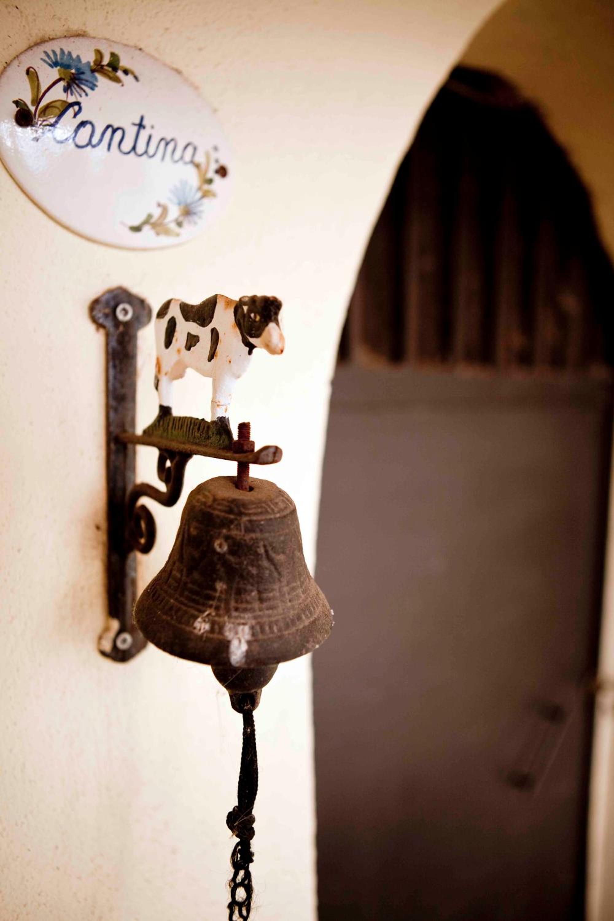 Villa Alce photo 3