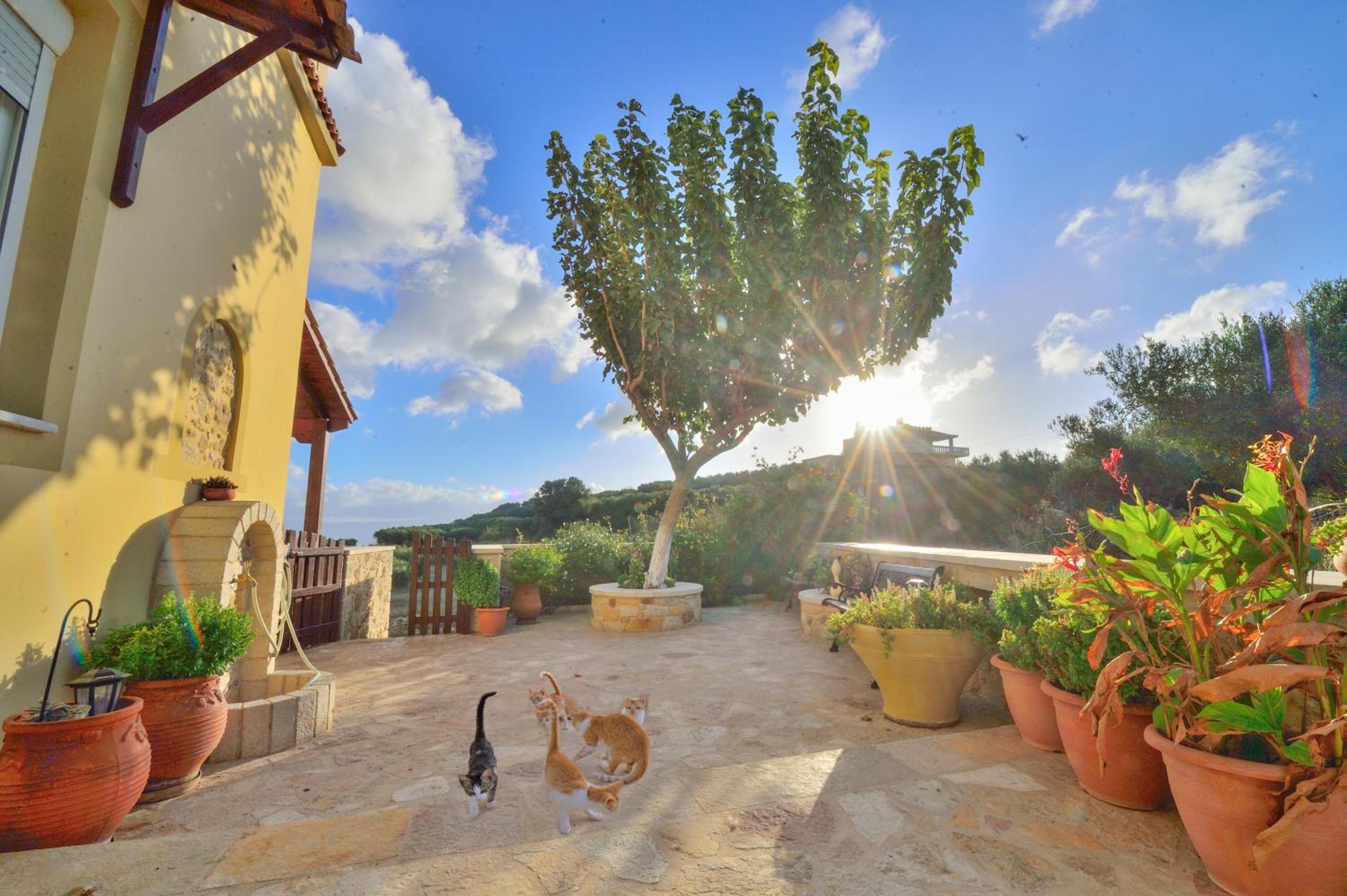 Villa Athina