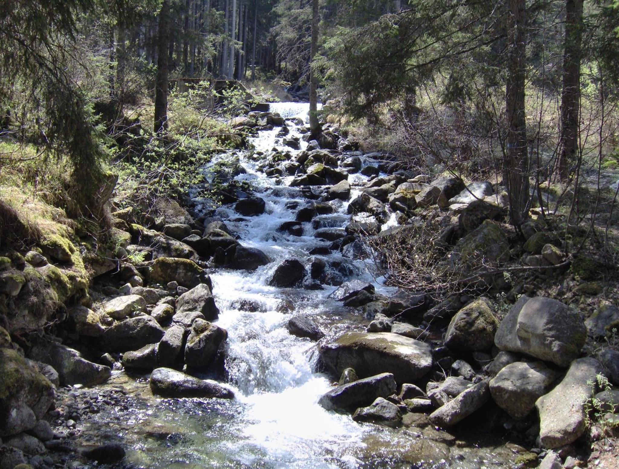 Photo 47