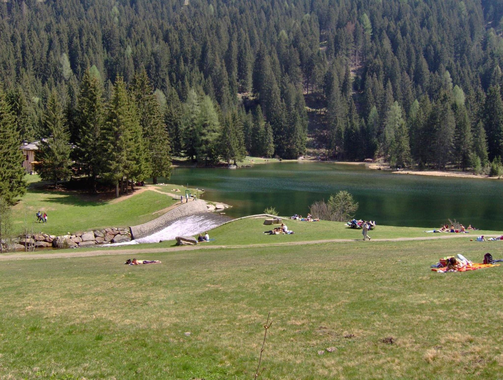 Photo 44