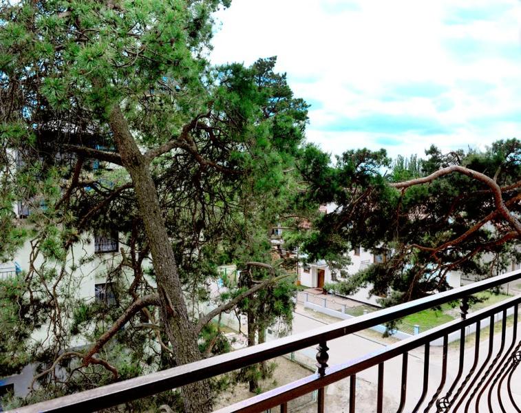 Villa Carmen view 5