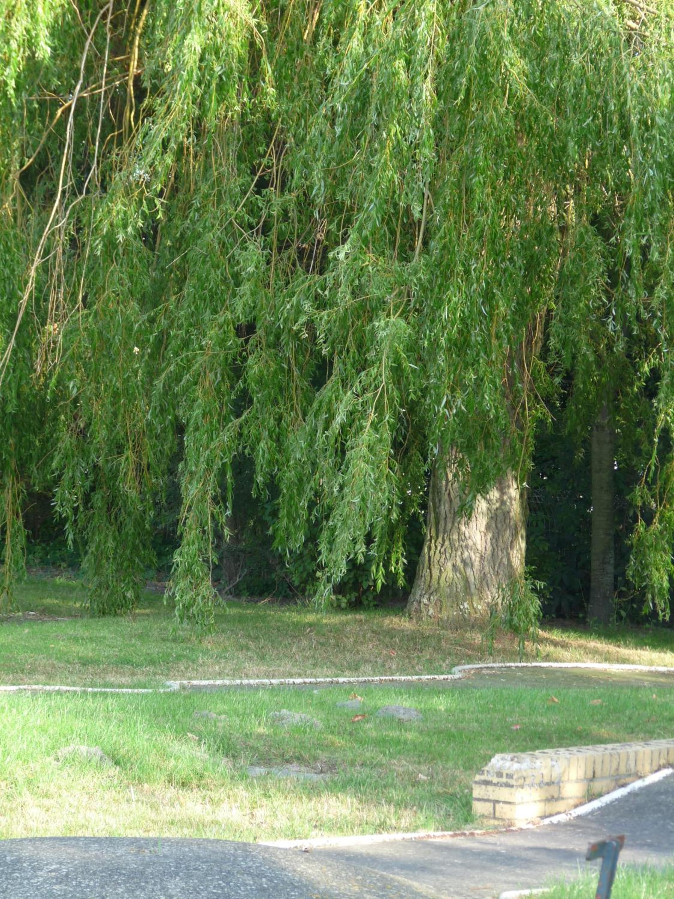 children's play area