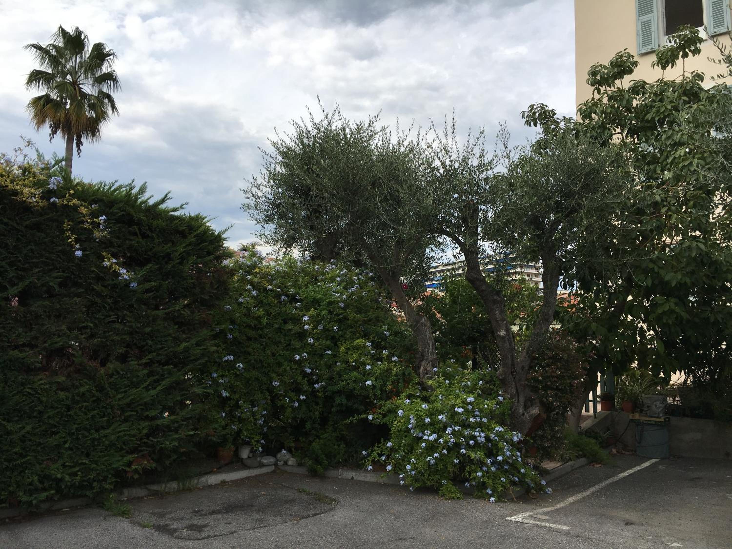Photo 25