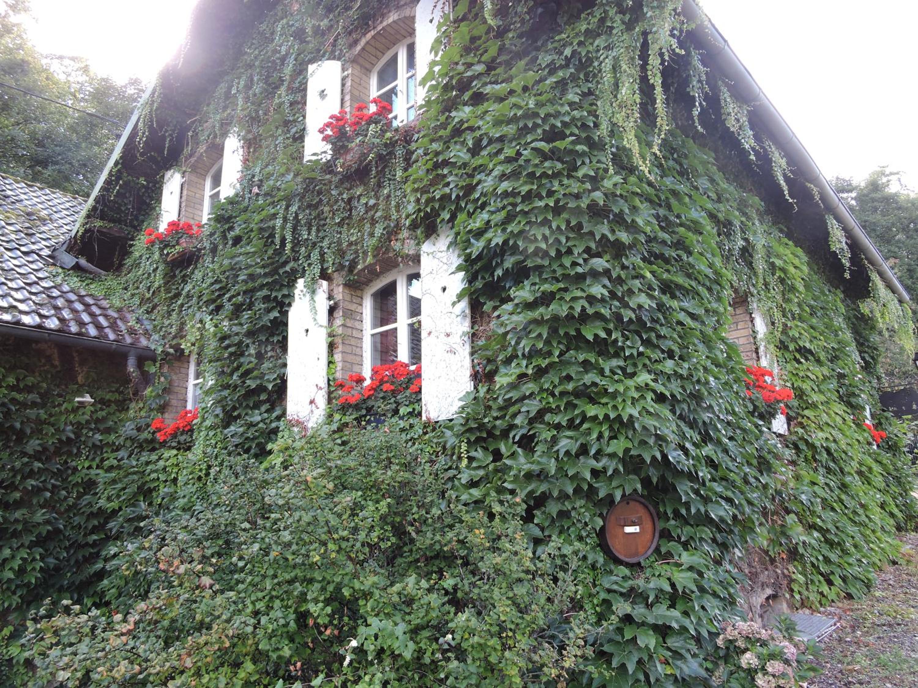 Photo 31