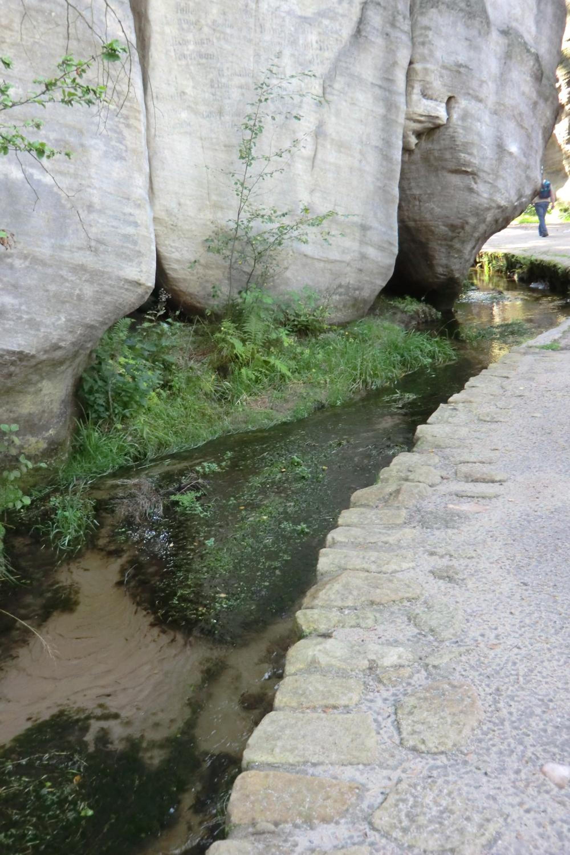 Photo 27