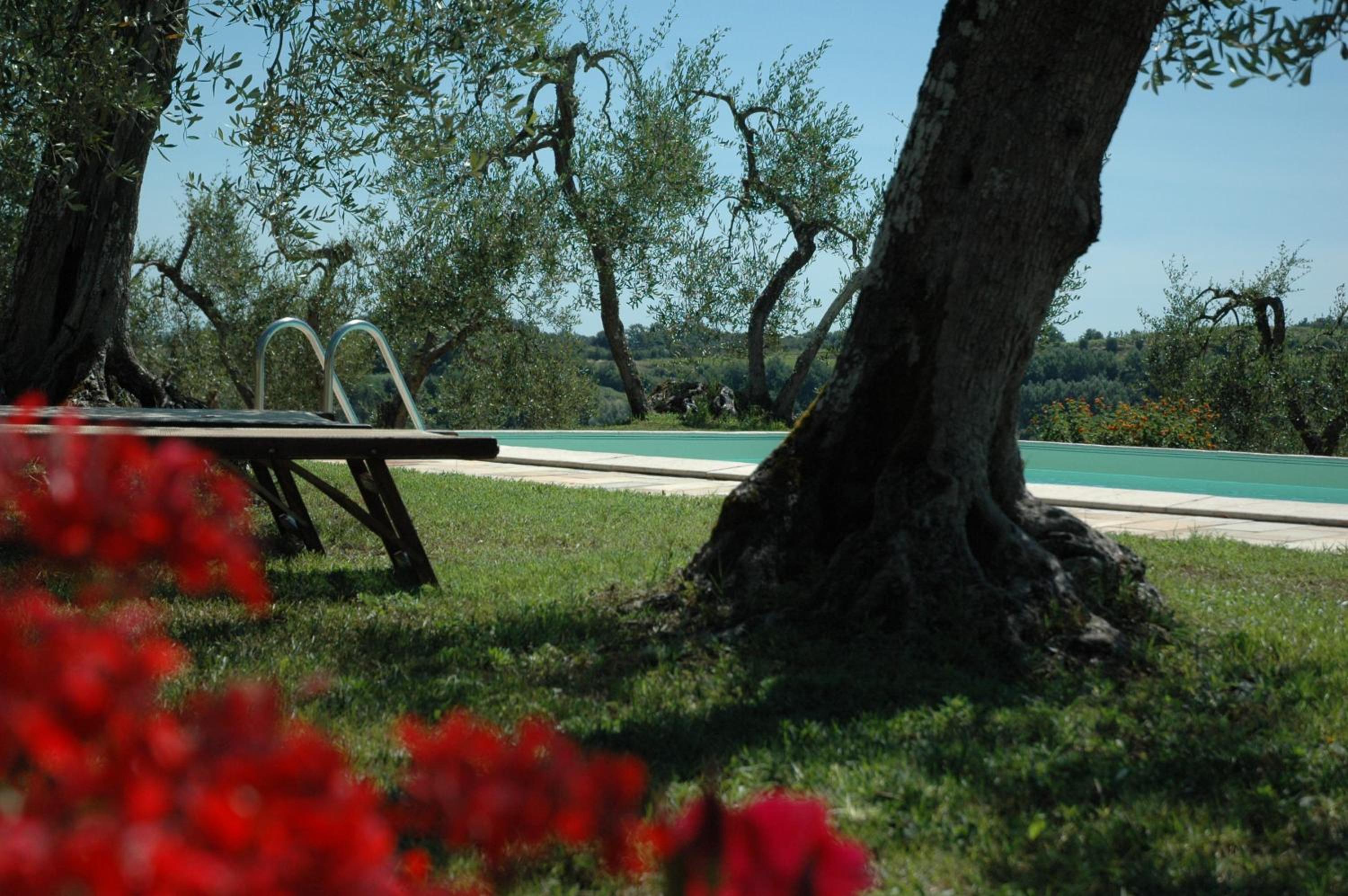 Azienda Agricola Le Querce photo 2