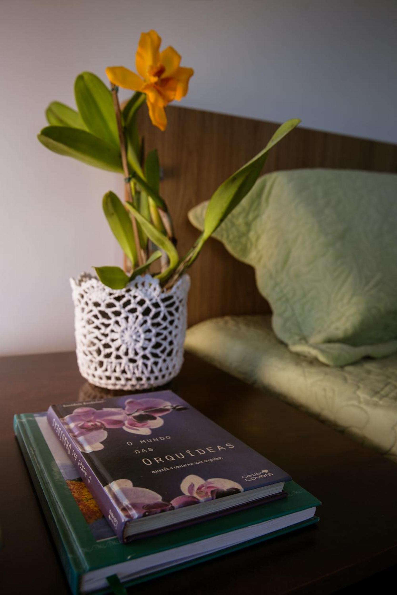 Orquídea Café