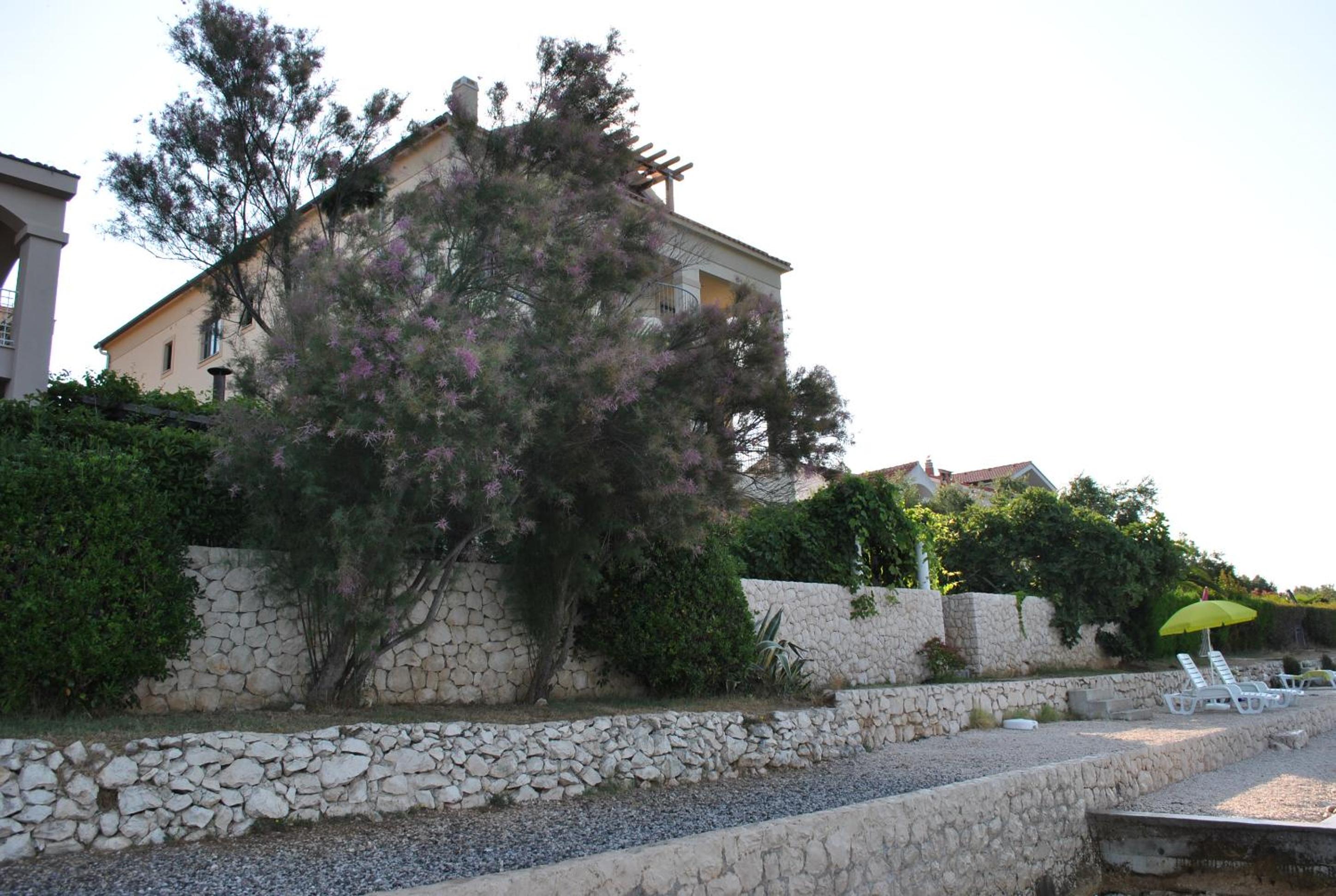 Photo 49