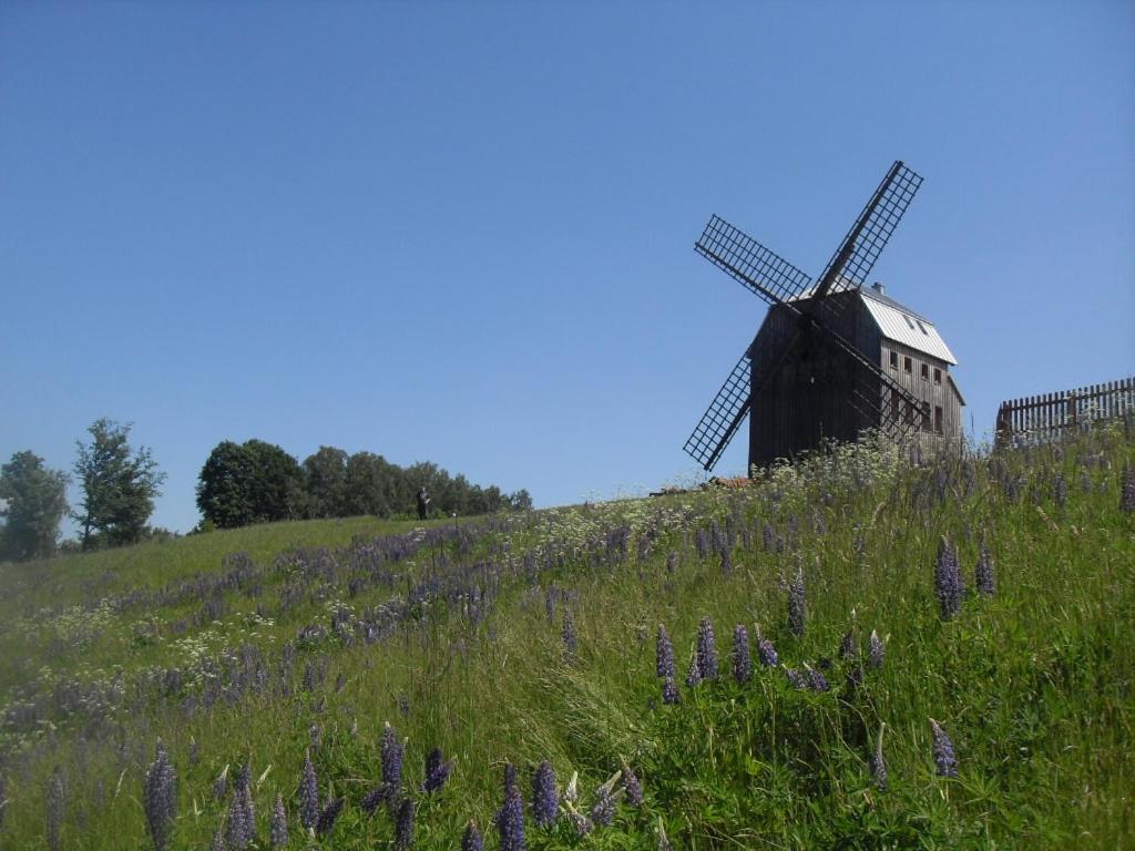 Photo 14