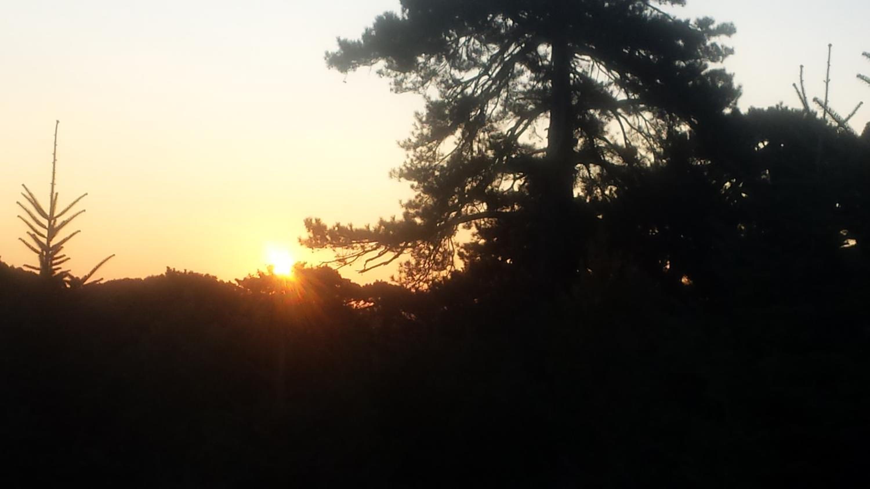 Panorama Kakopleyri Kalabakas