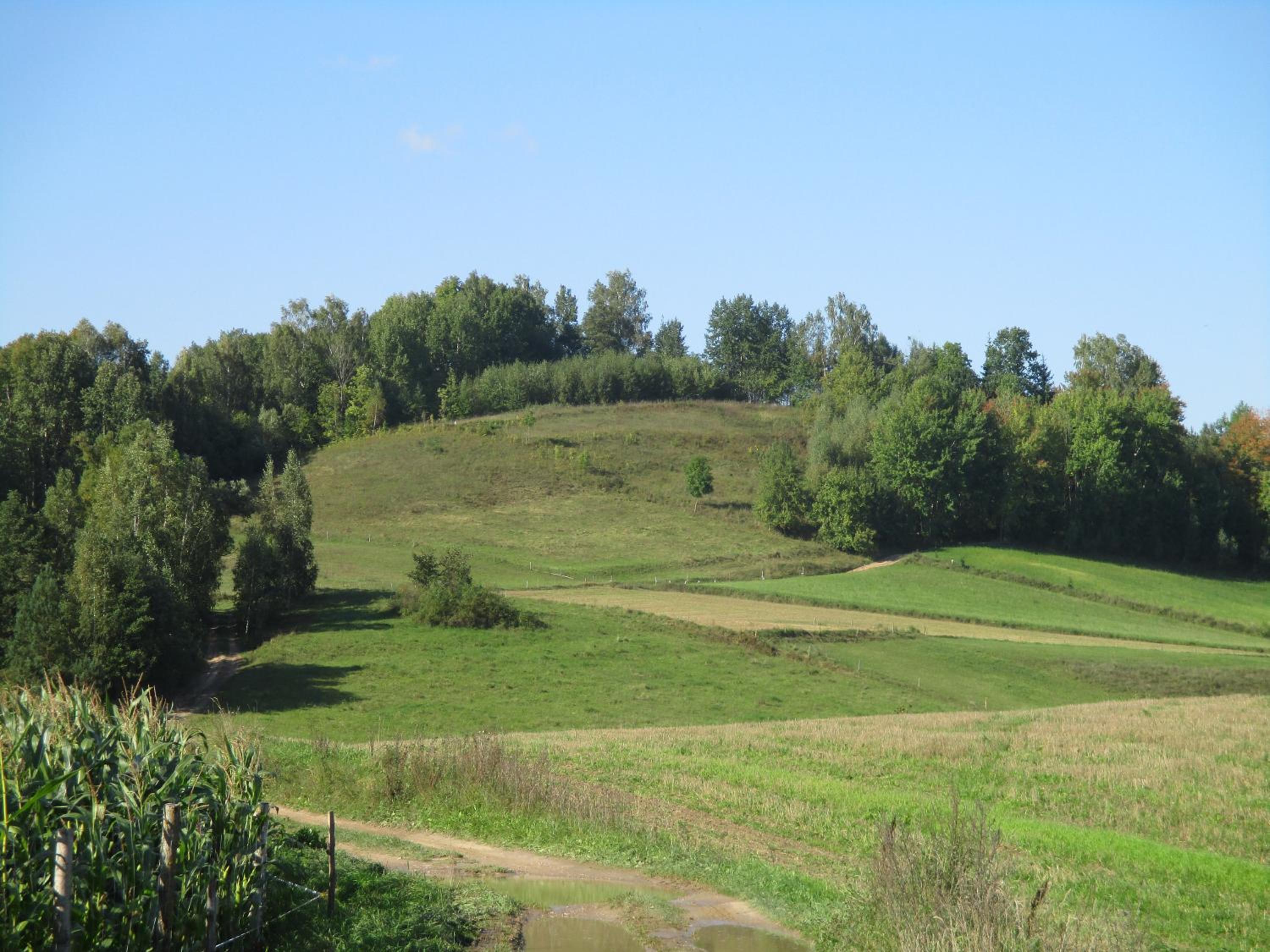 Photo 34
