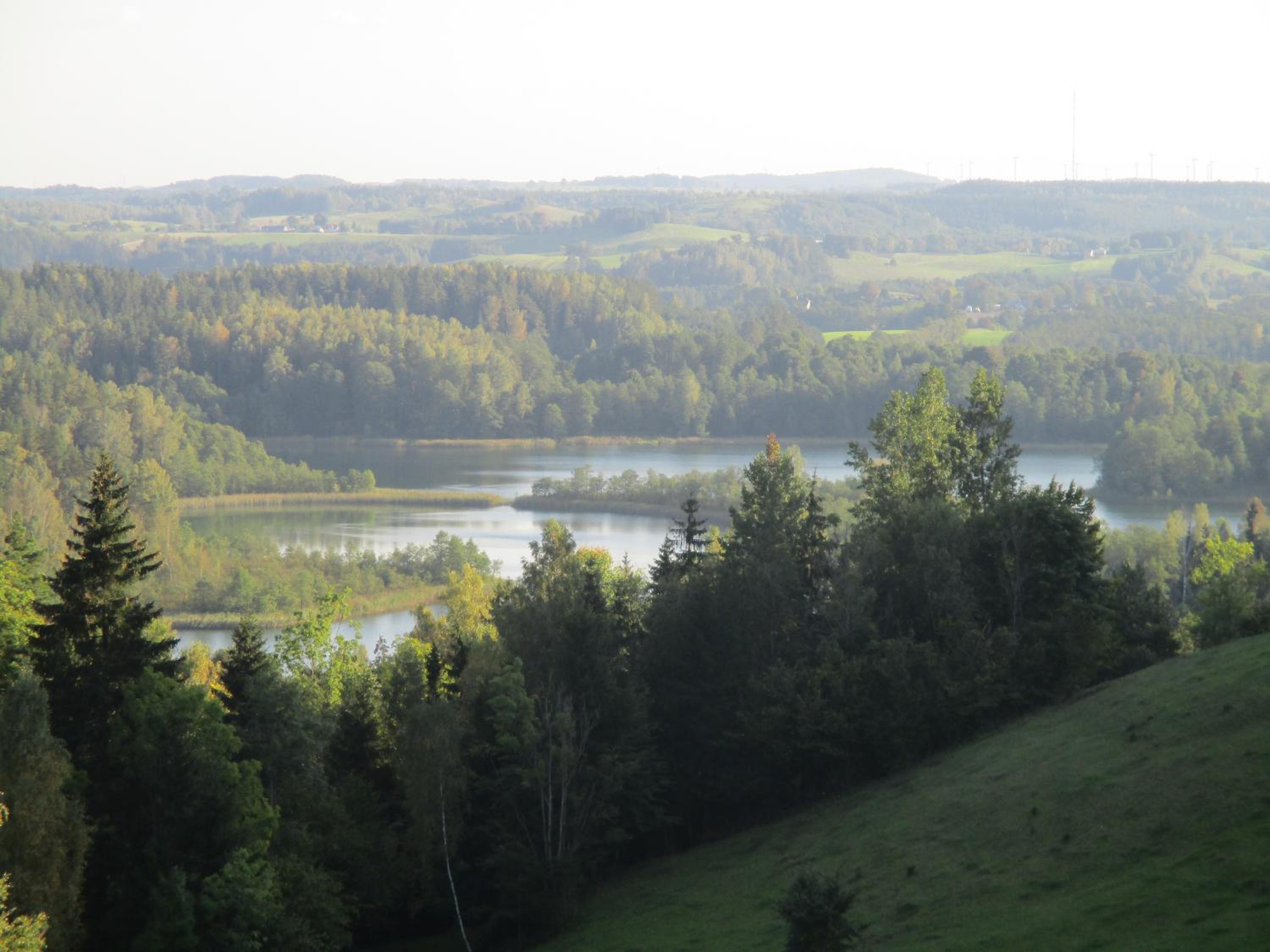 Dworek Telimena view 2