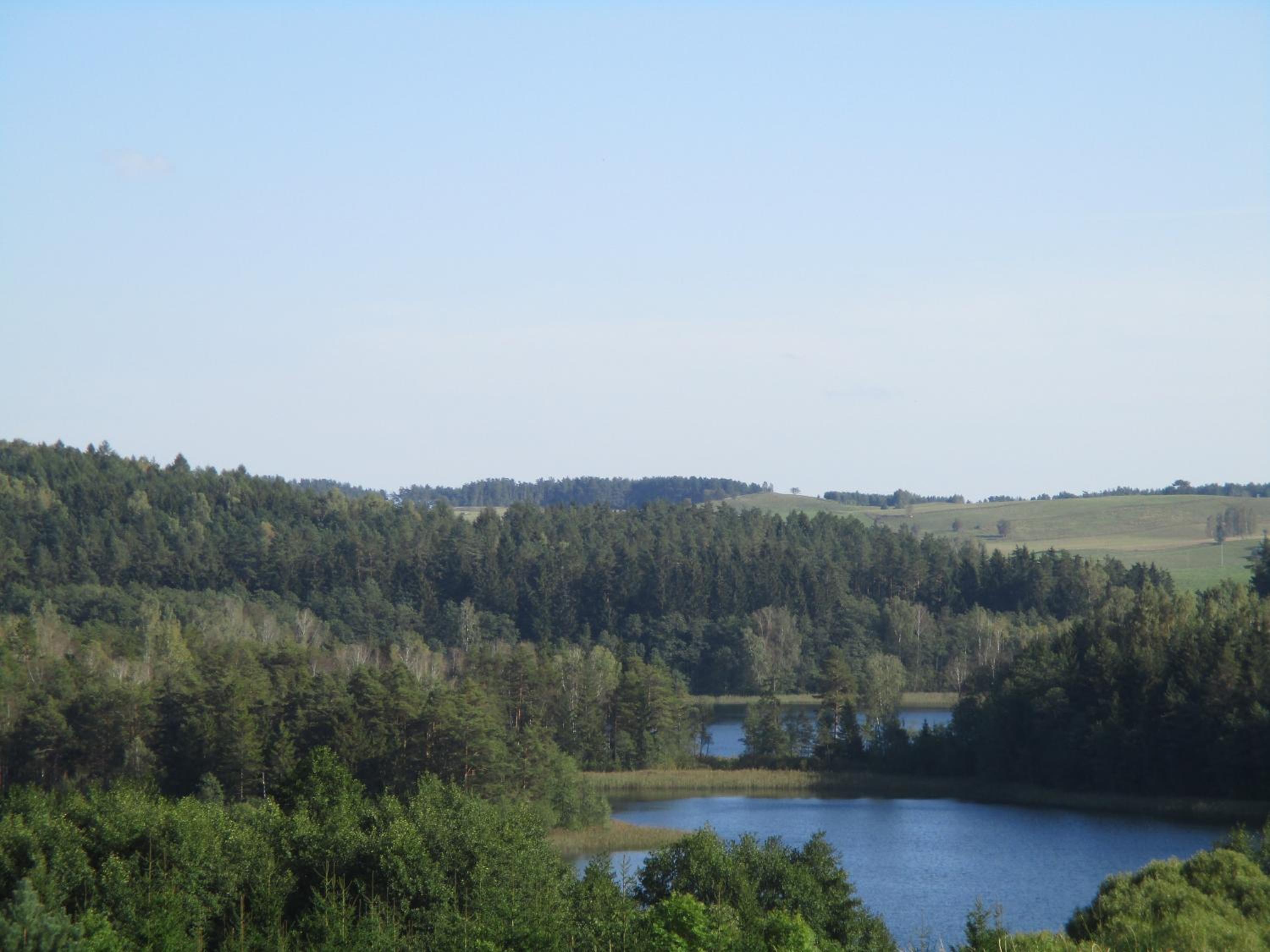 Photo 29
