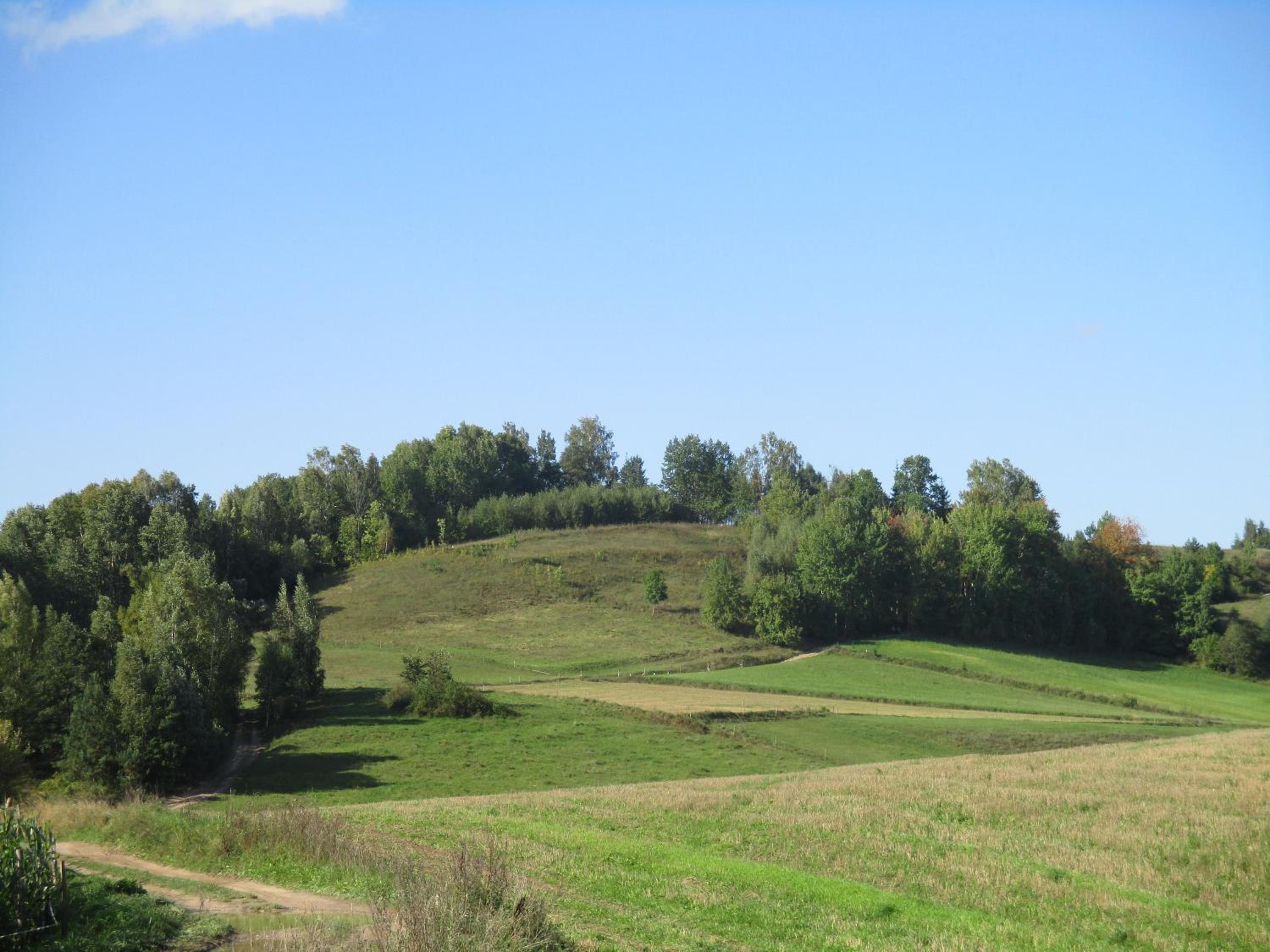 Photo 22
