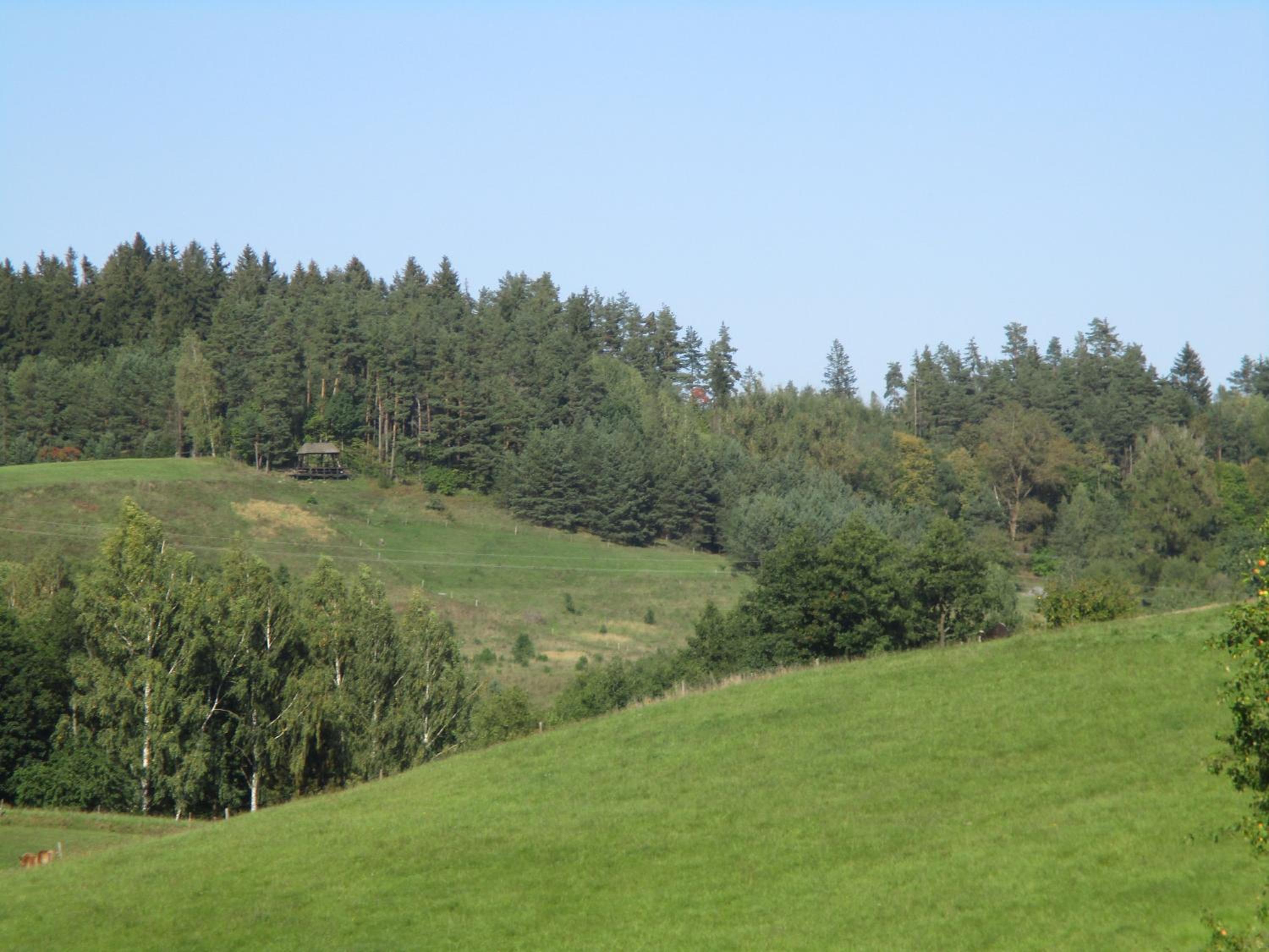 Photo 28