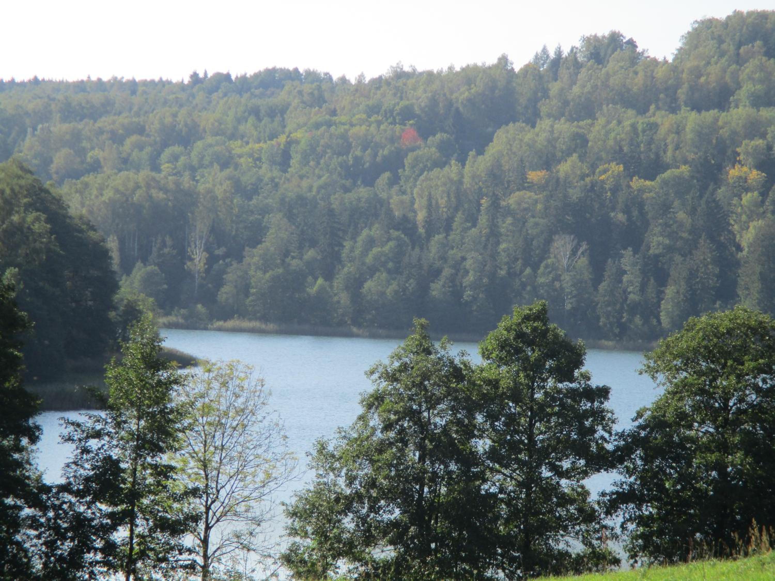 Photo 40