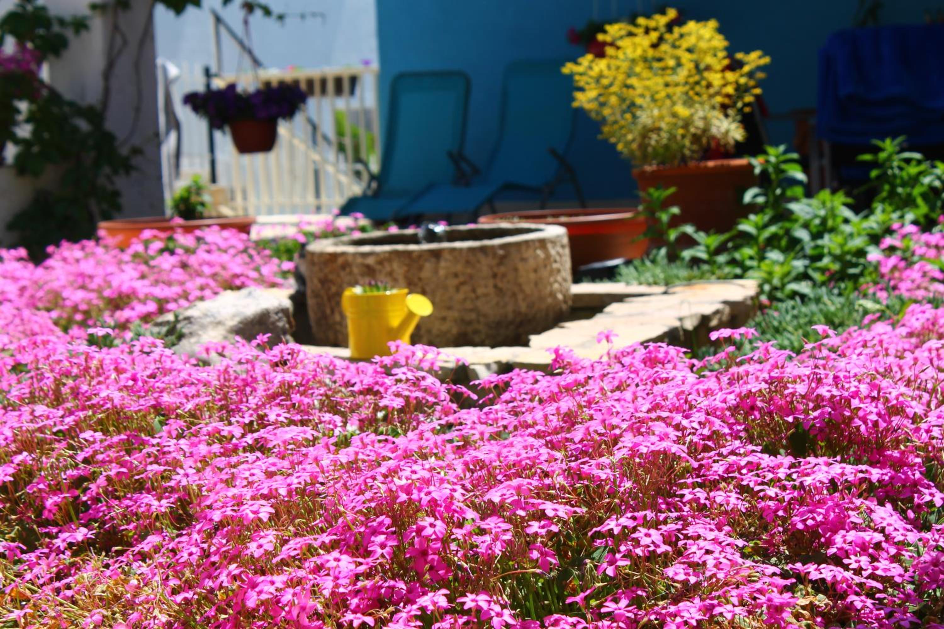 Apartments Yerkovic view 2