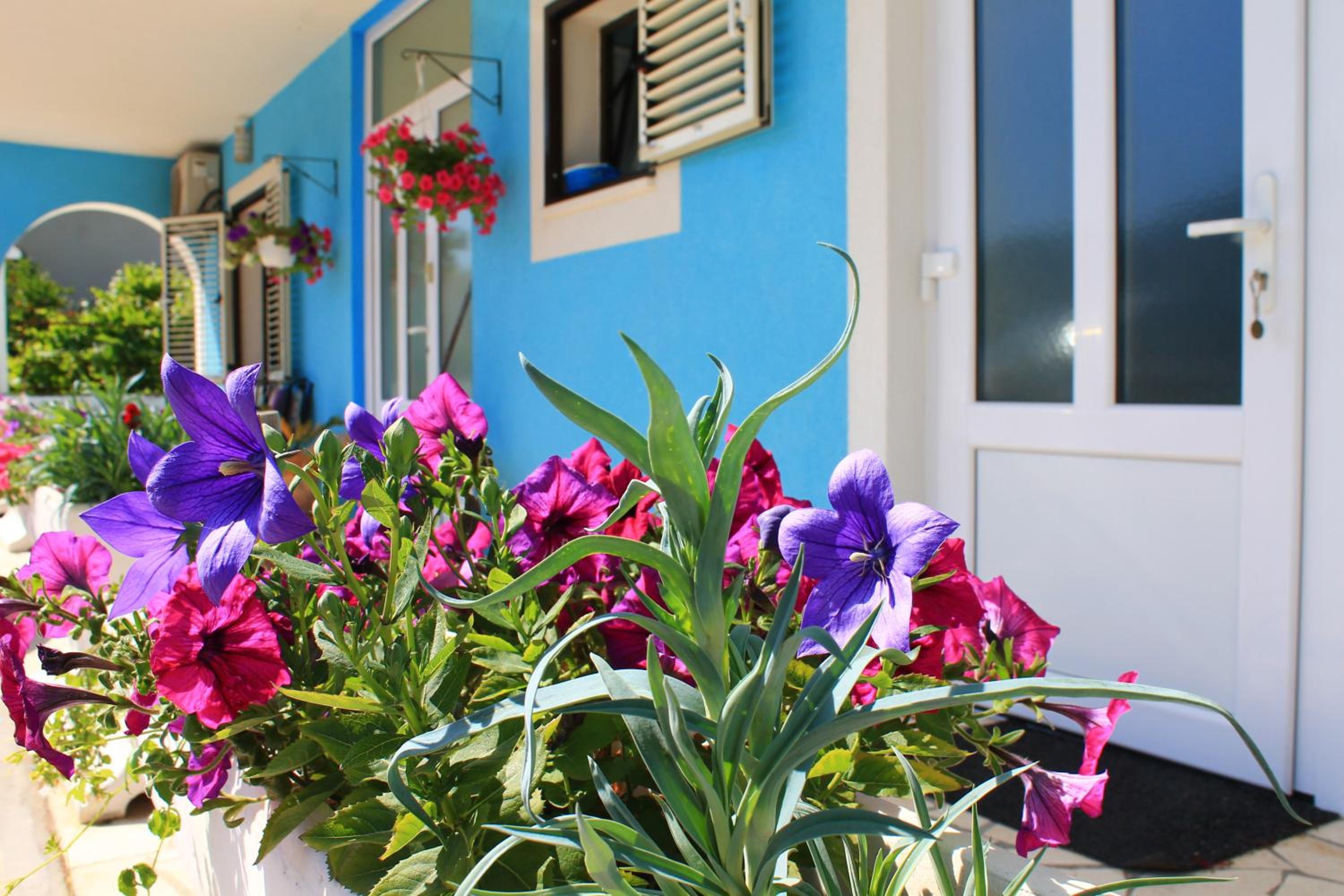 Apartments Yerkovic view 4