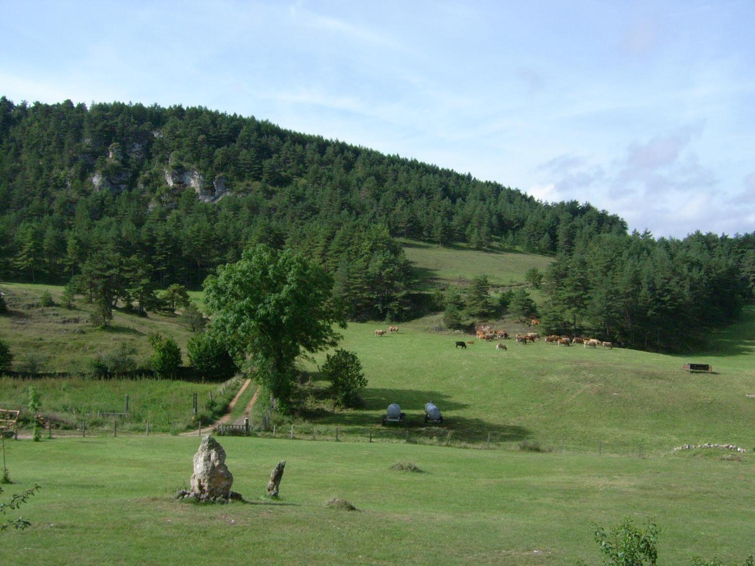 Photo 12
