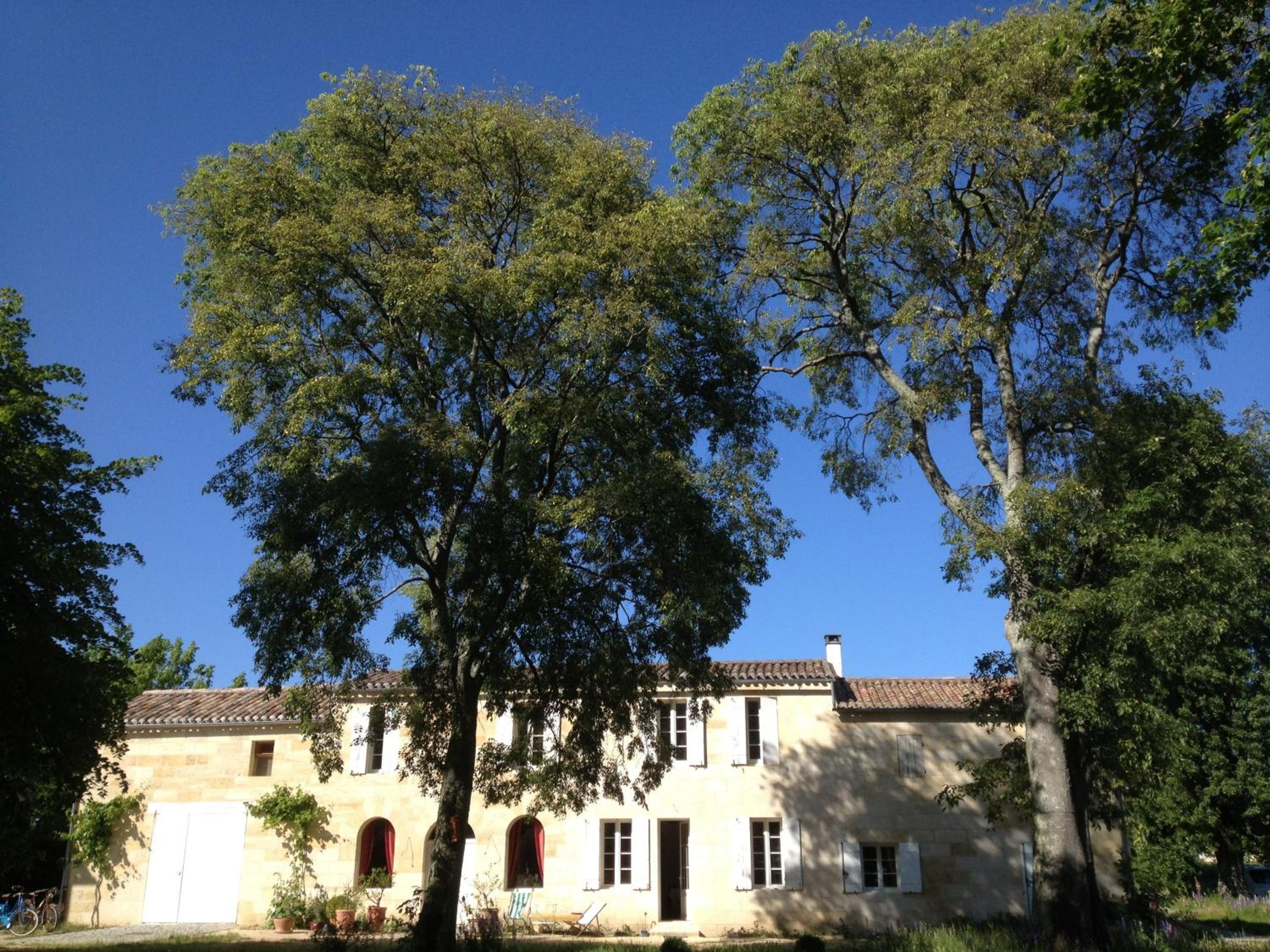 Photo 29