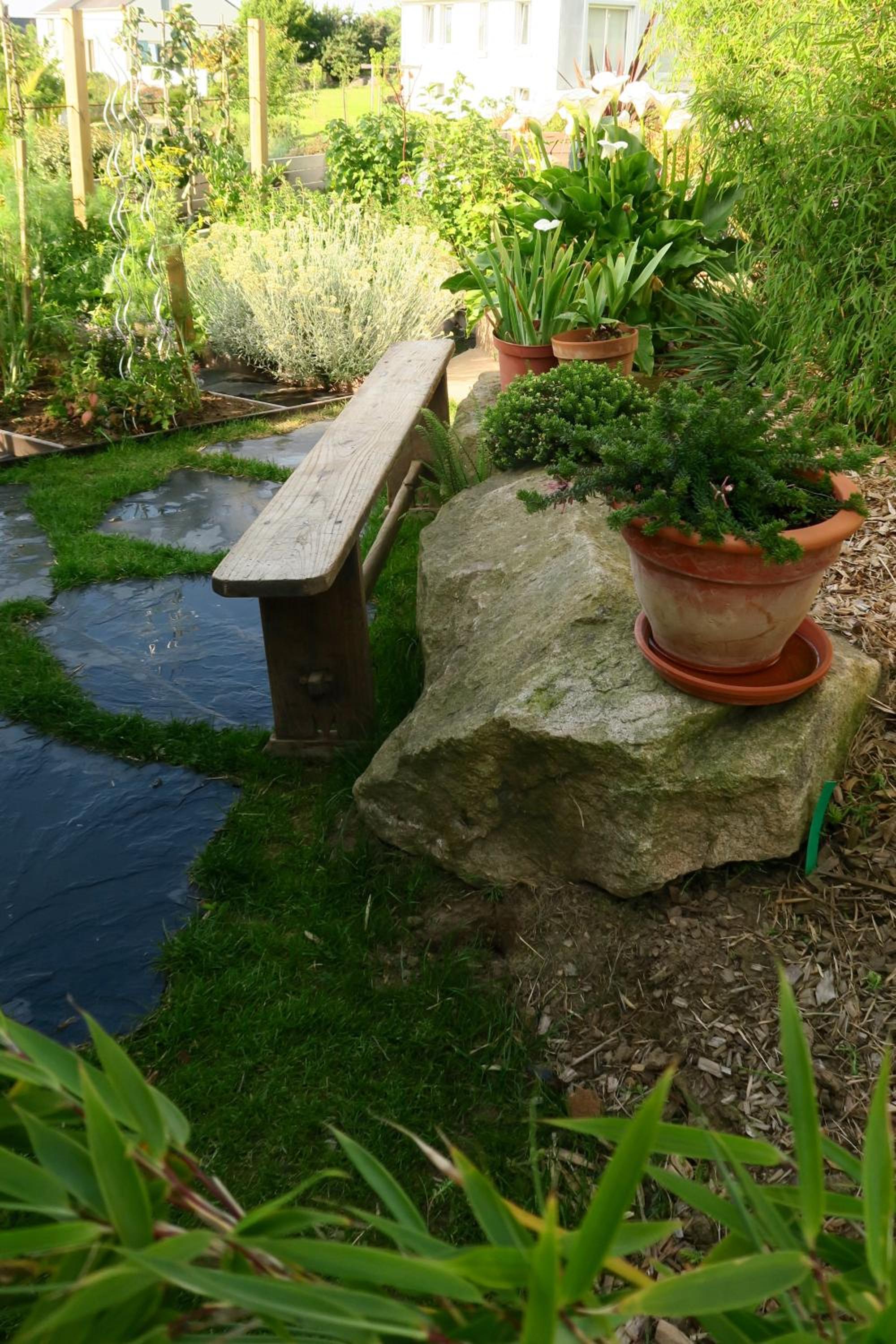 Photo 18