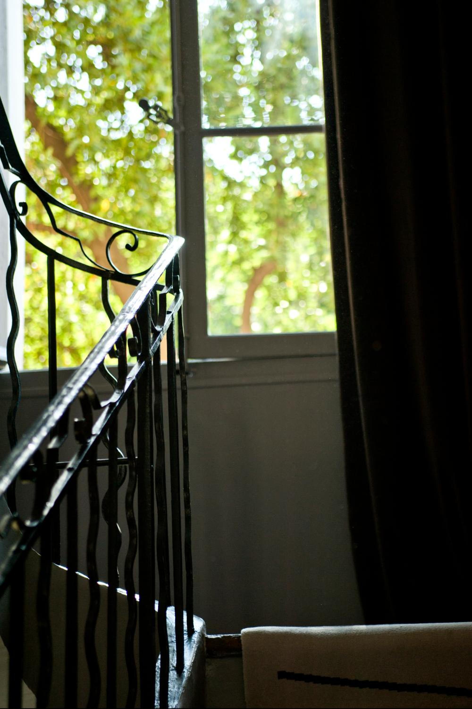 Balcony & Terrace