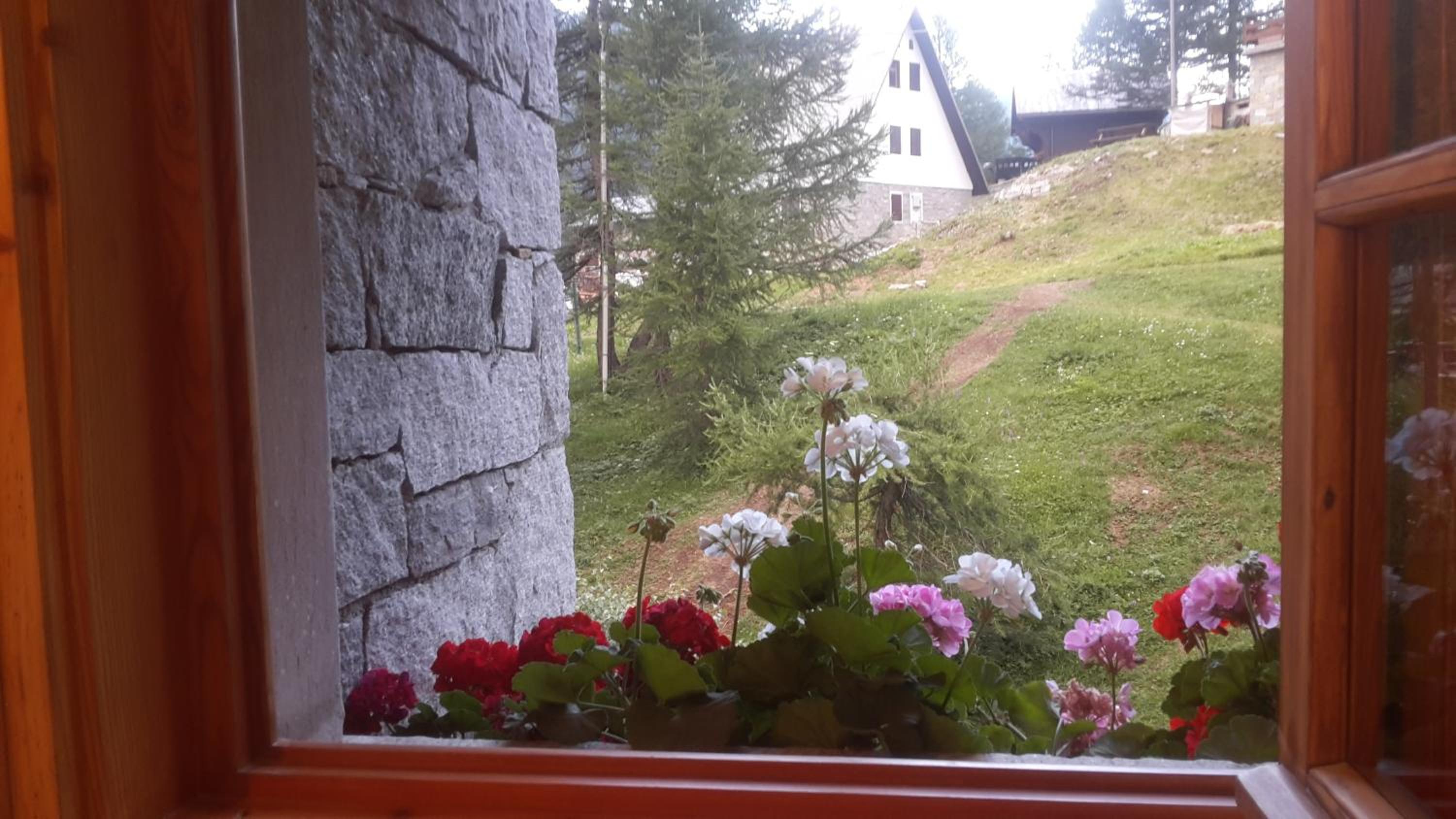 Chalet Stella Alpina