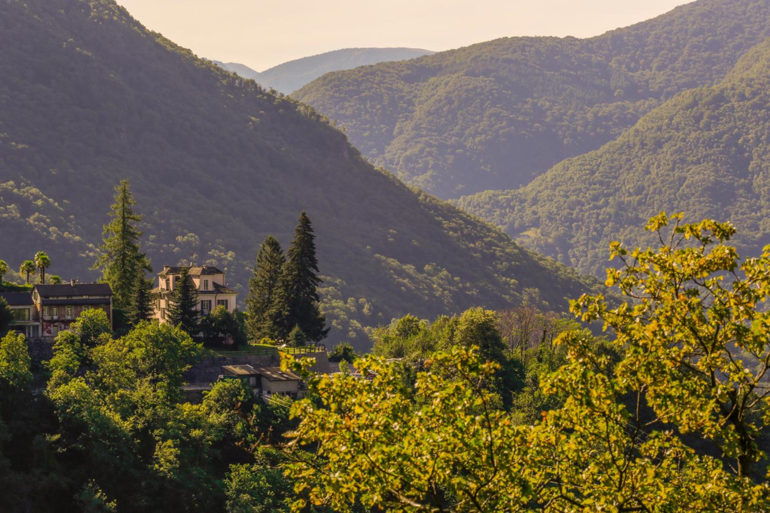 Wild Valley Hostel - Villa Edera