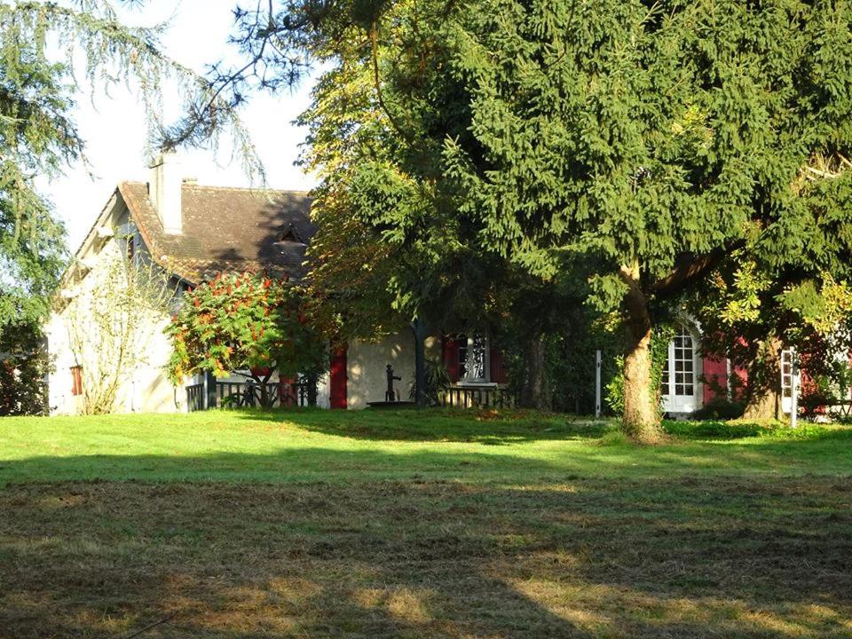 Photo 31