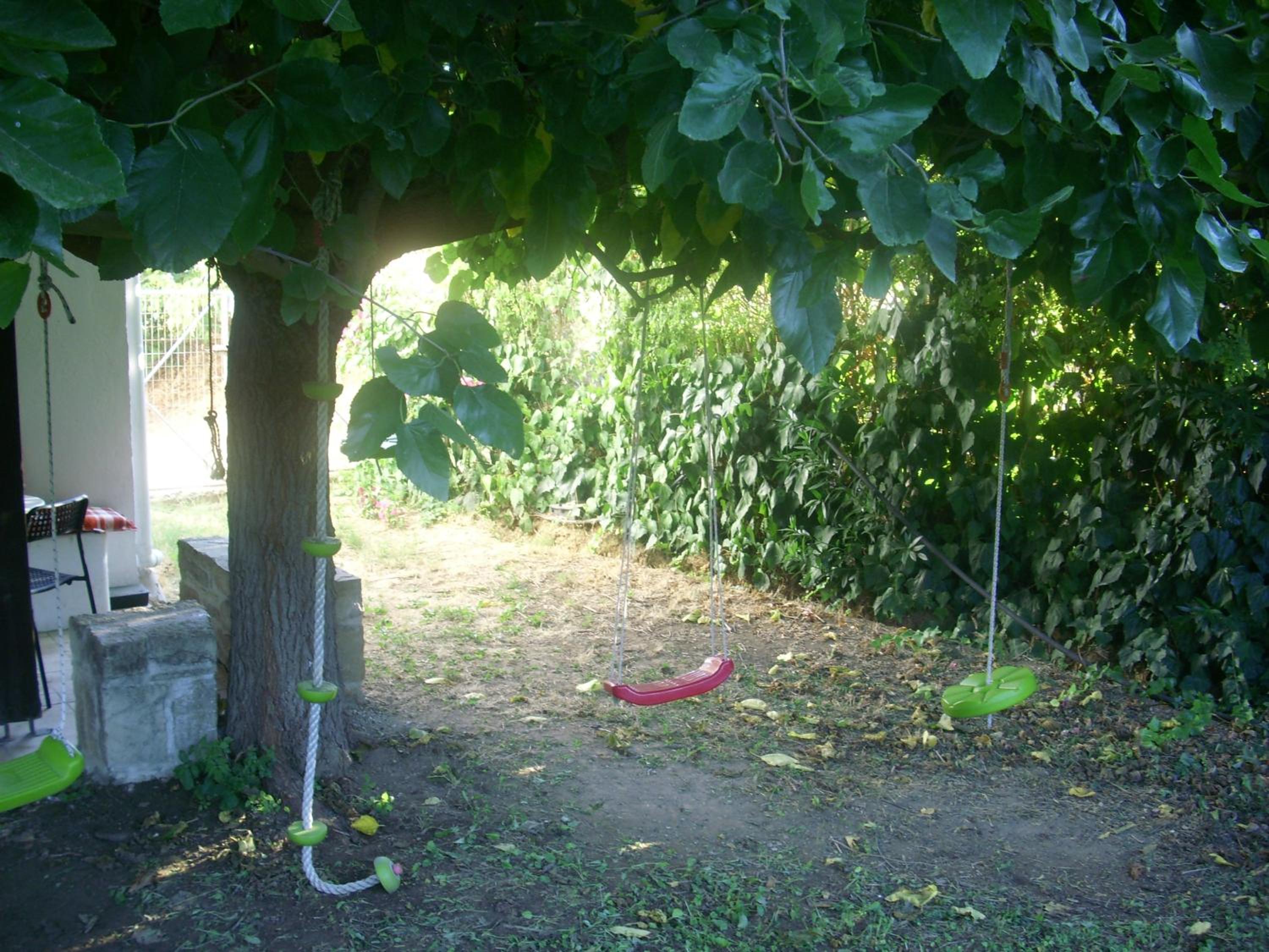 Photo 38