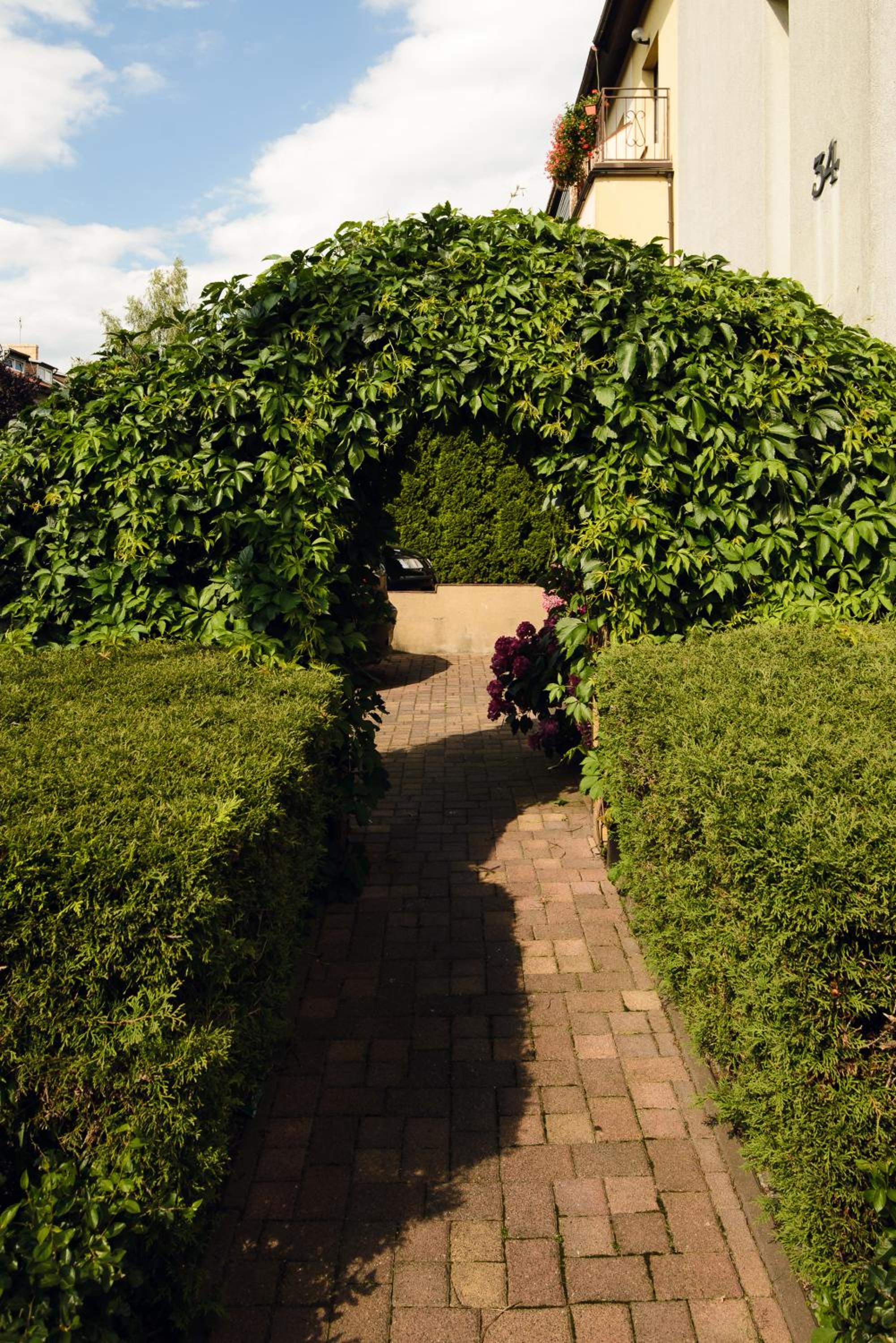 Photo 10