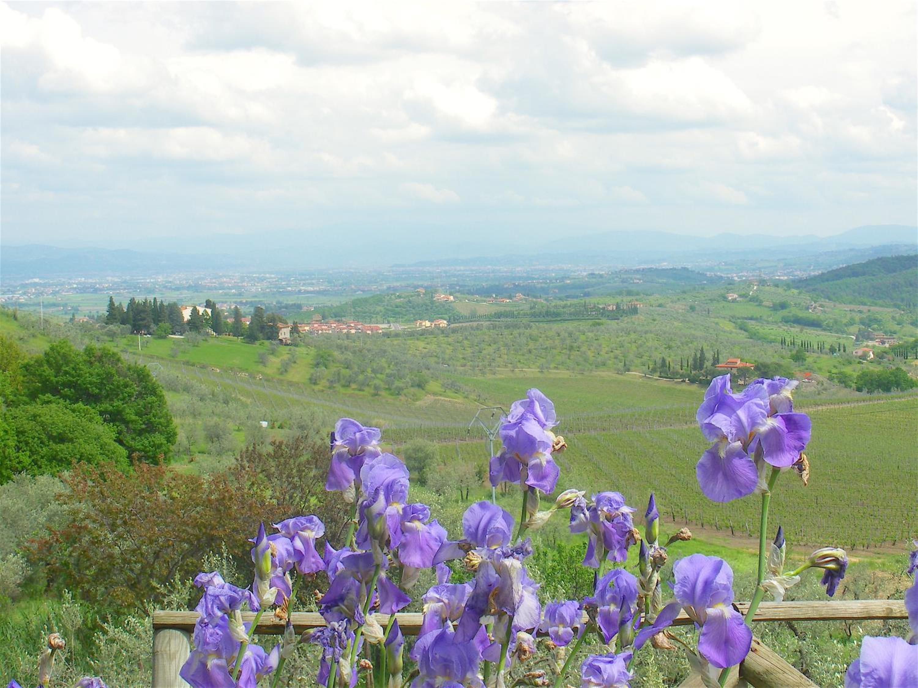 La Solaria