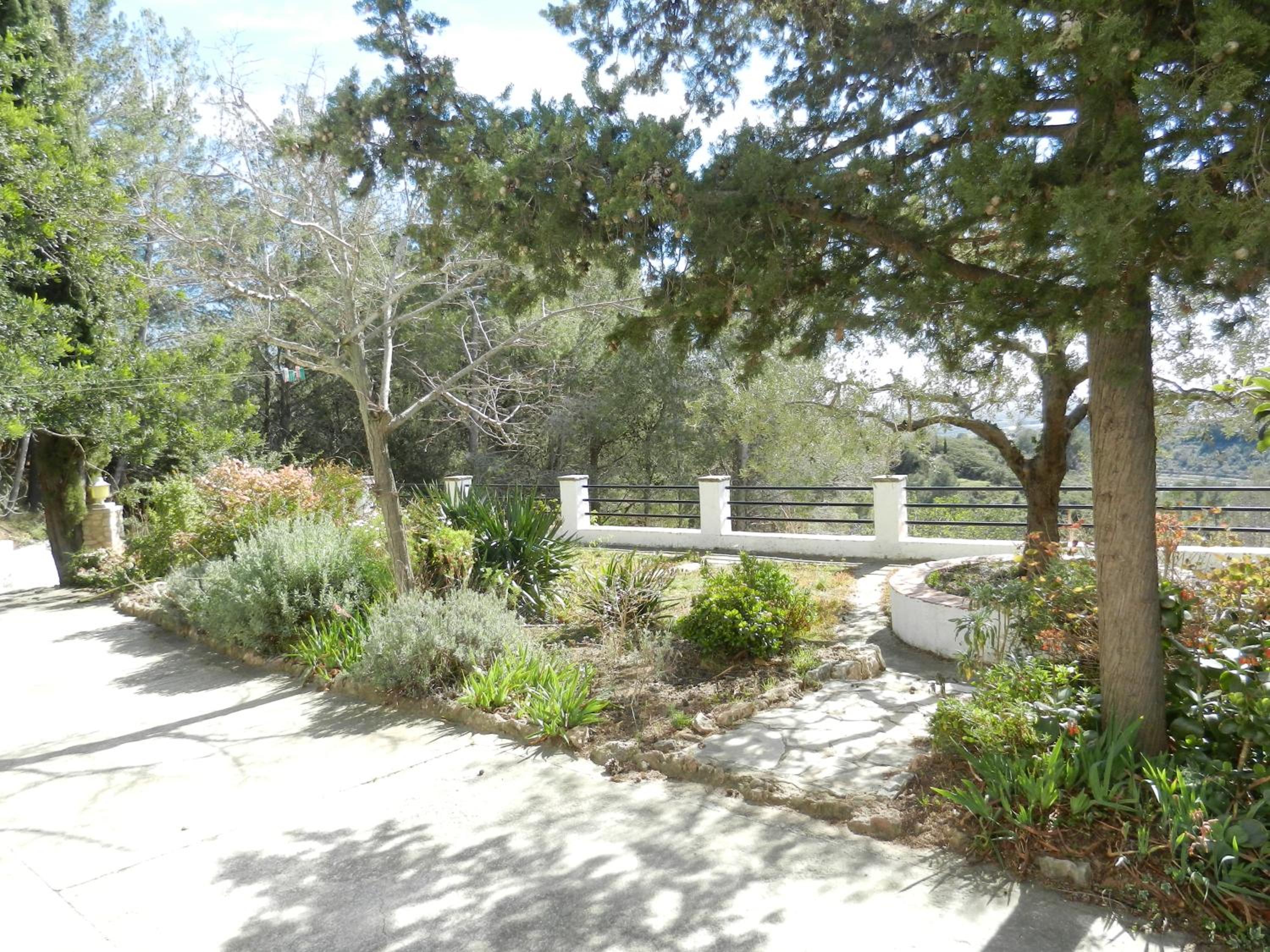 Photo 8
