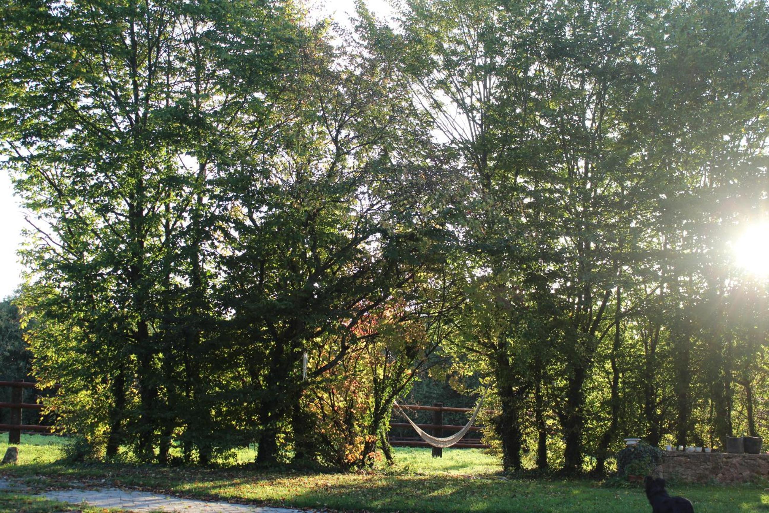 L'Epine view 5