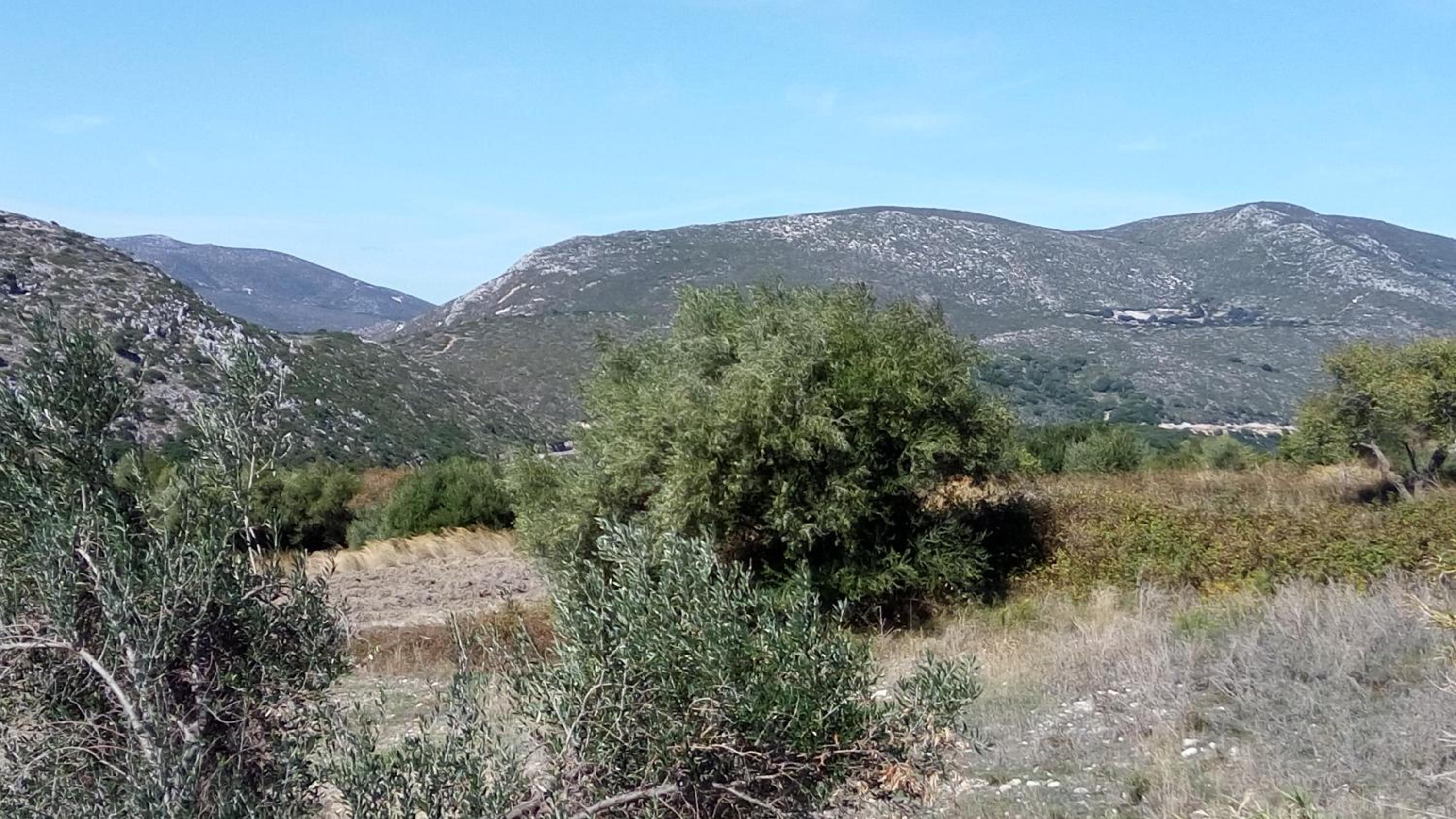 Photo 29