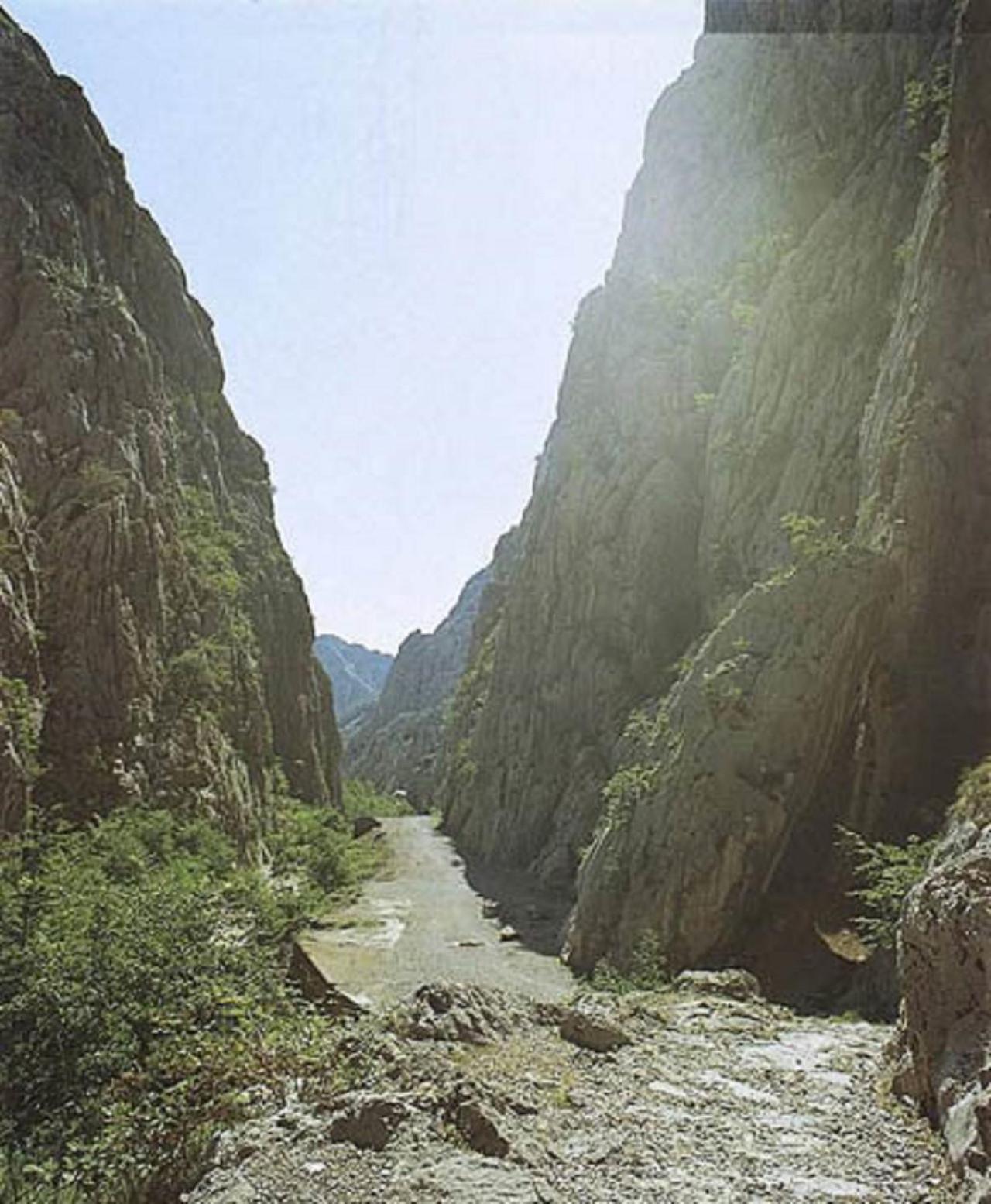 Photo 30