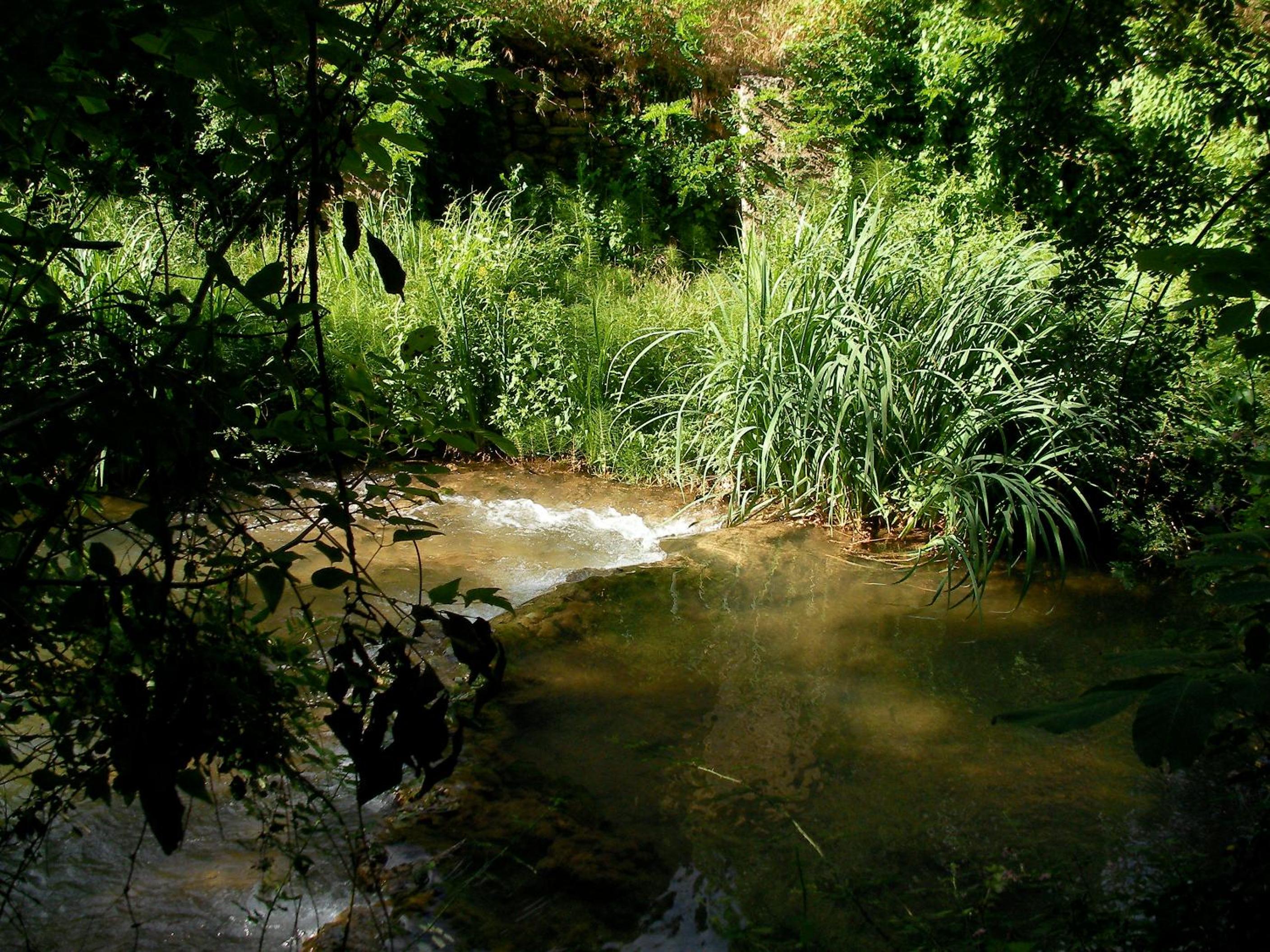Le Vieux Moulin