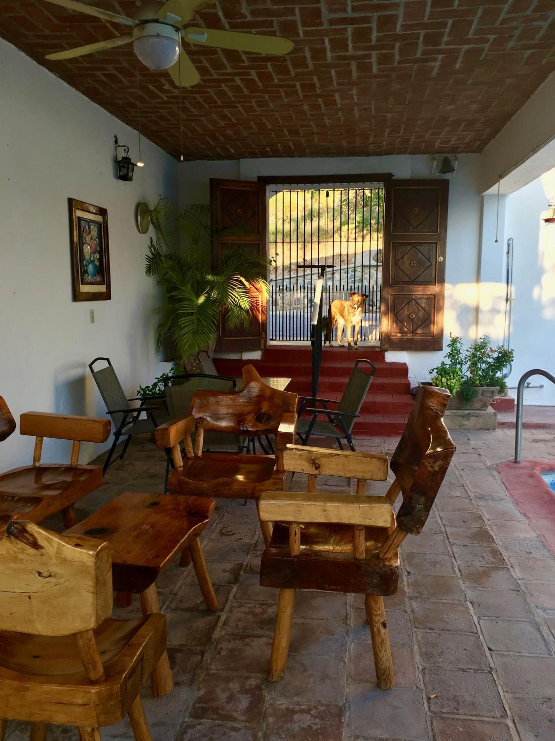 Serena Vista, photo 27